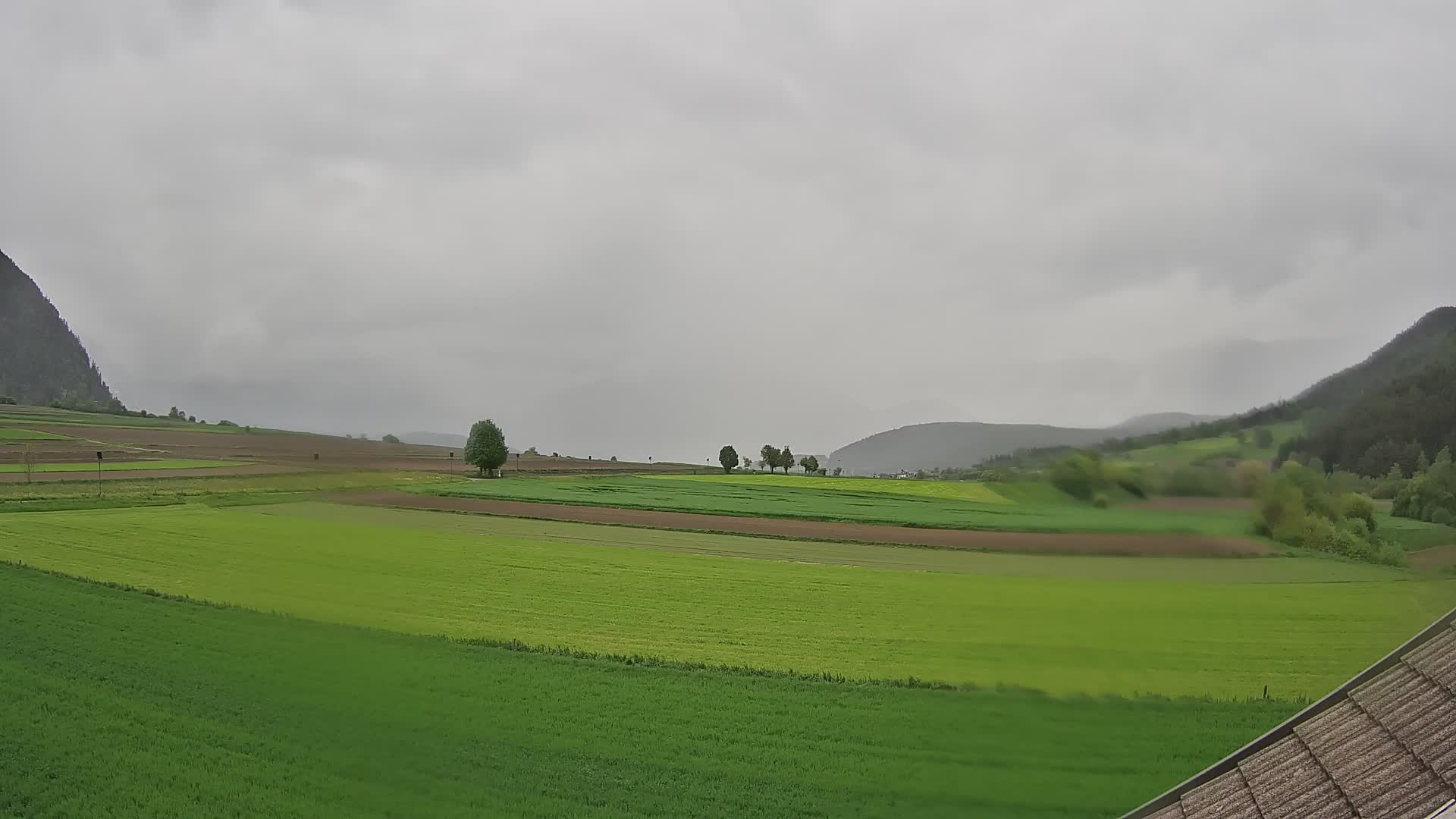 Gais | View from Vintage Farm Winklerhof to Kronplatz and Dolomites