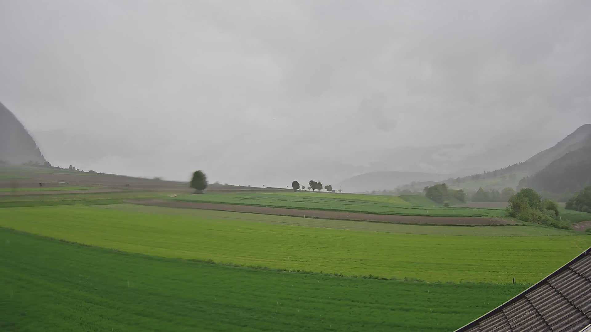 Gais | View from Vintage Farm Winklerhof to Kronplatz and Dolomites