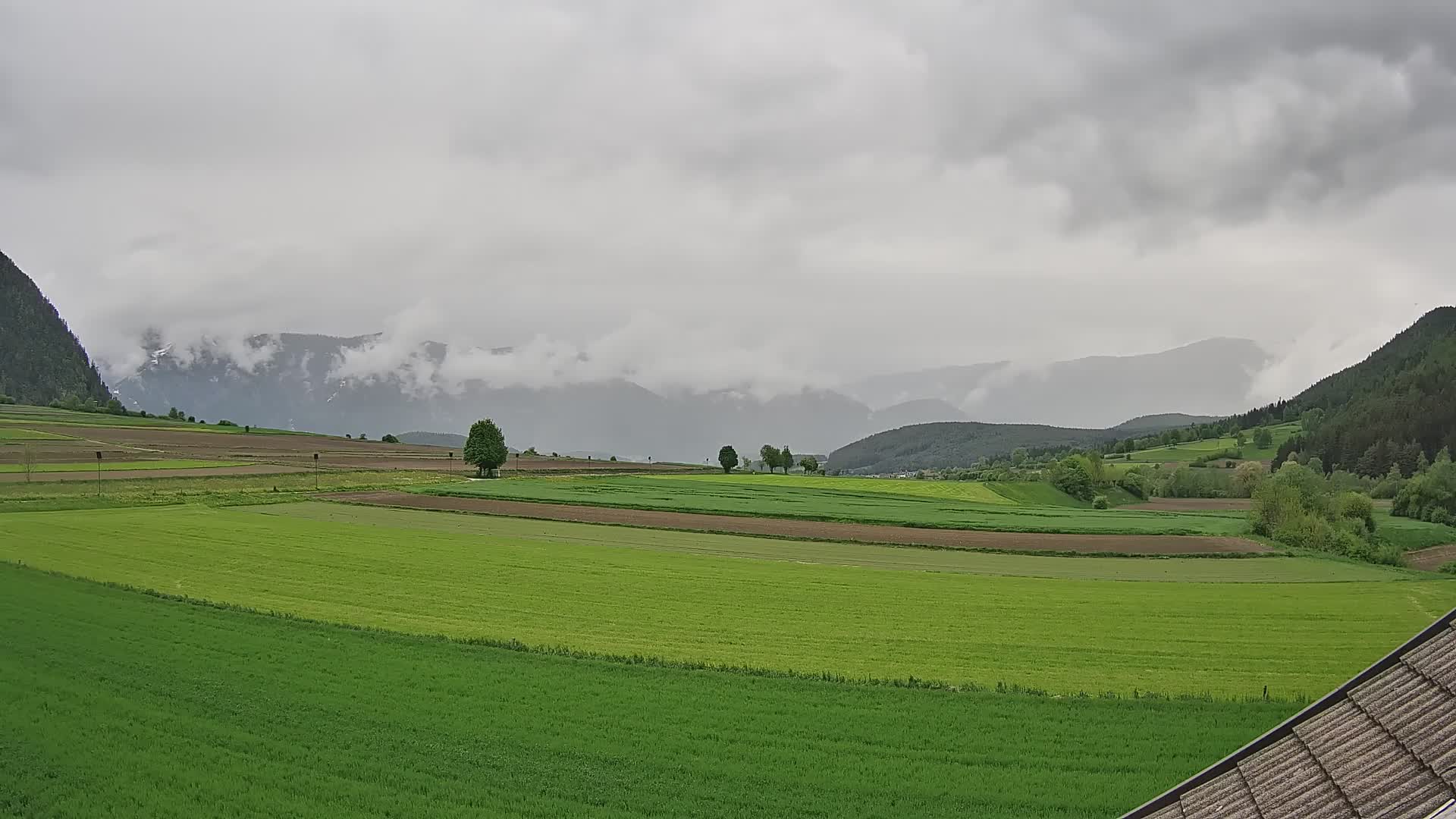 Gais | View from Vintage Farm Winklerhof to Kronplatz and Dolomites