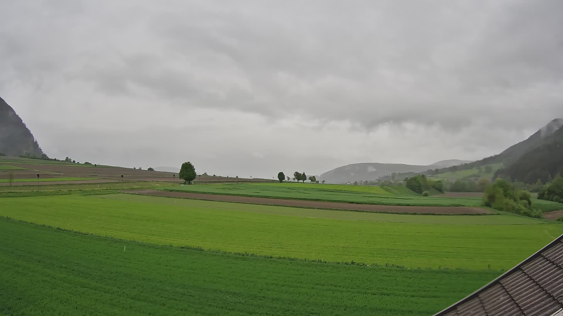 Gais | View from Vintage Farm Winklerhof to Kronplatz and Dolomites