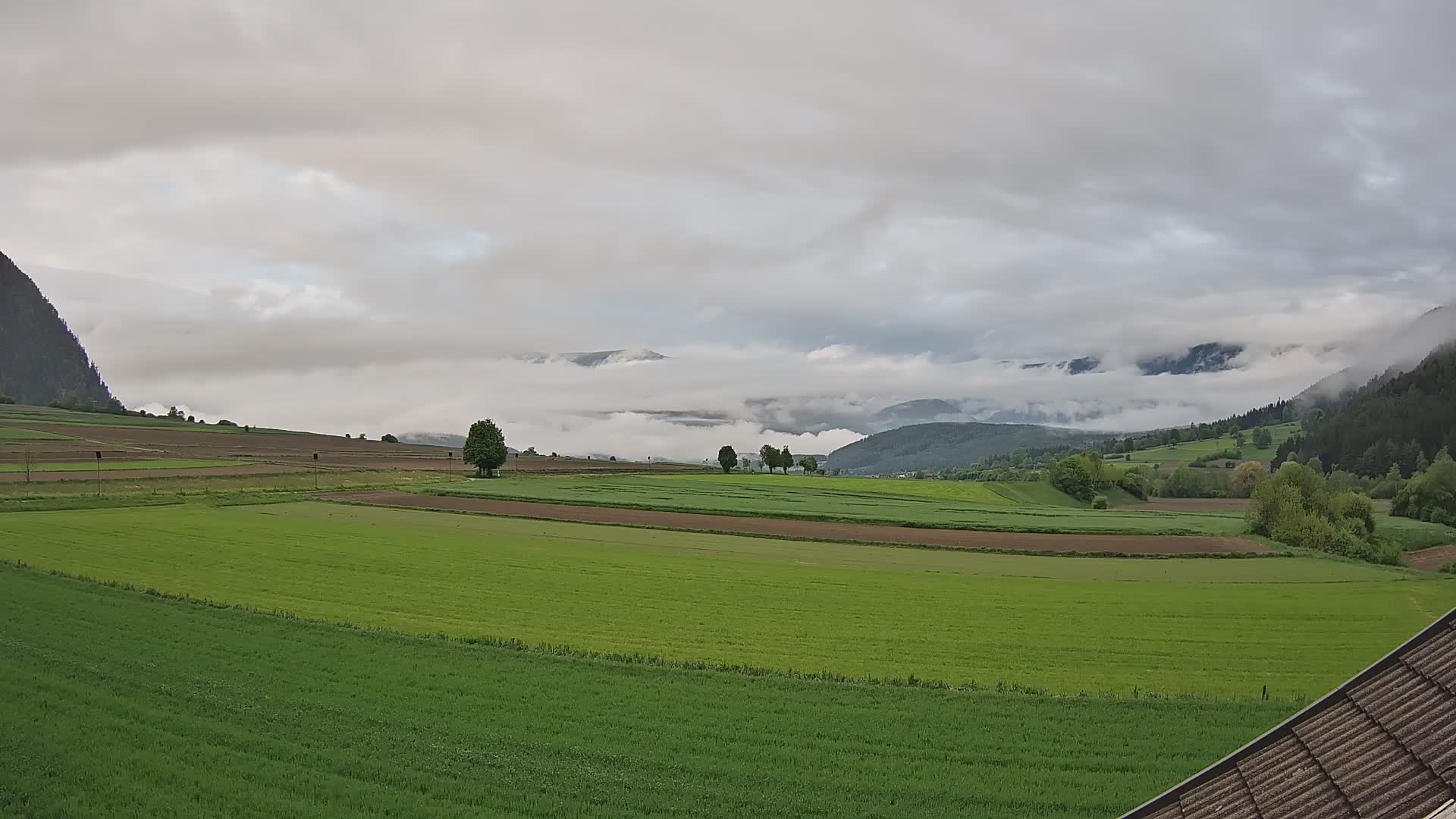 Gais | View from Vintage Farm Winklerhof to Kronplatz and Dolomites
