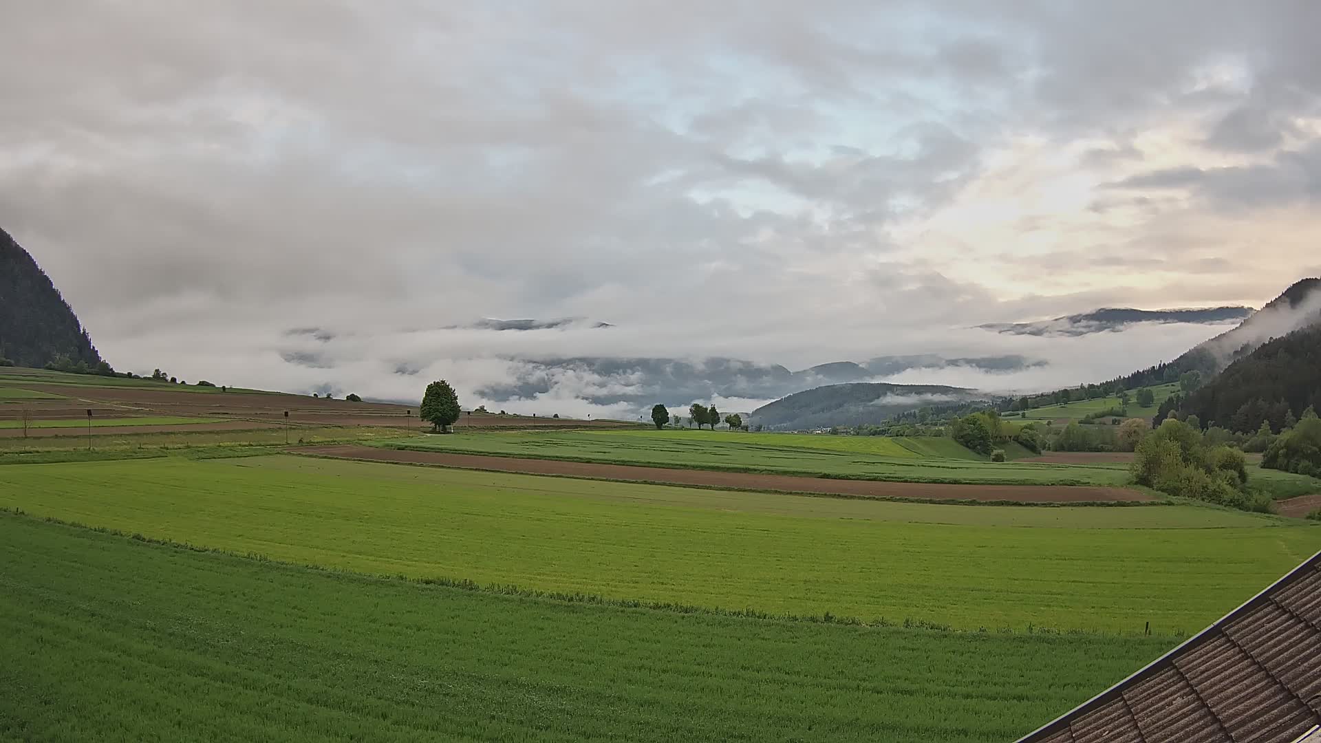 Gais | View from Vintage Farm Winklerhof to Kronplatz and Dolomites