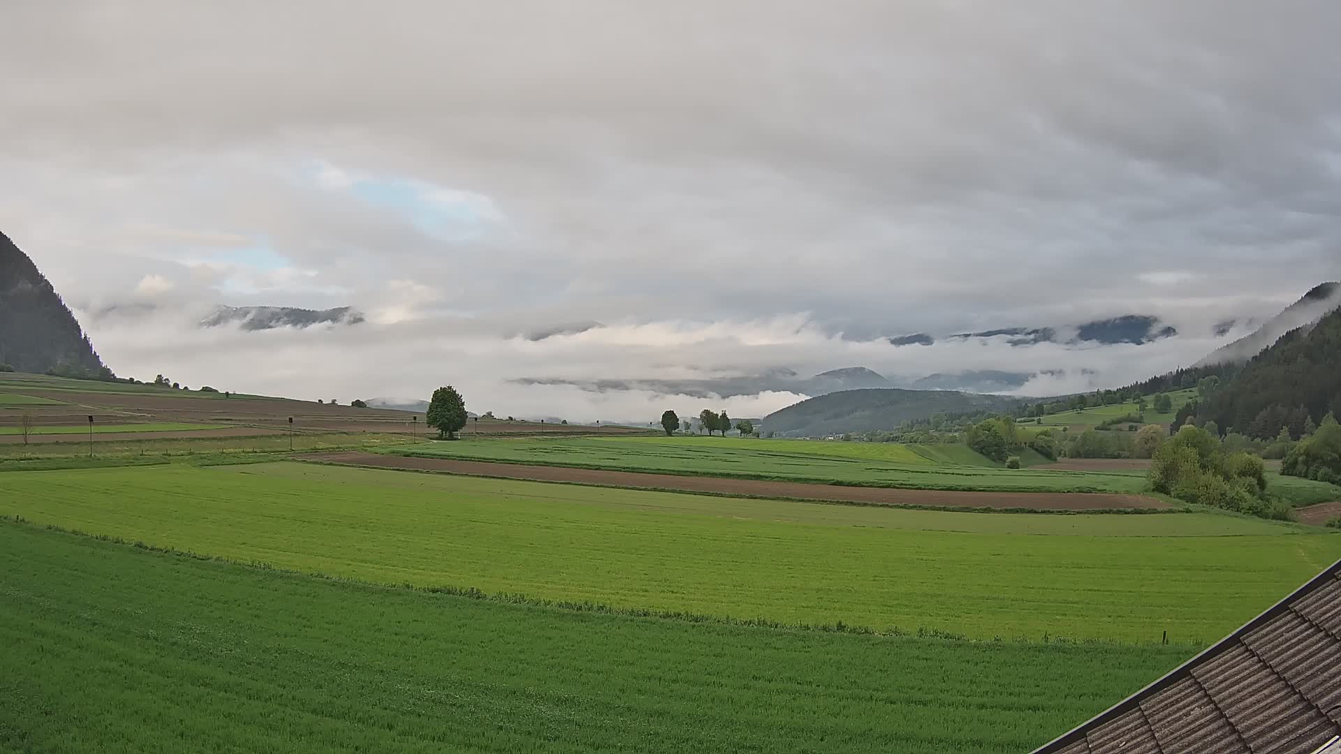 Gais | View from Vintage Farm Winklerhof to Kronplatz and Dolomites