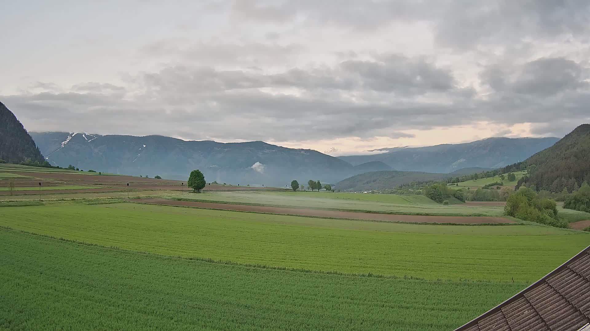 Gais | View from Vintage Farm Winklerhof to Kronplatz and Dolomites