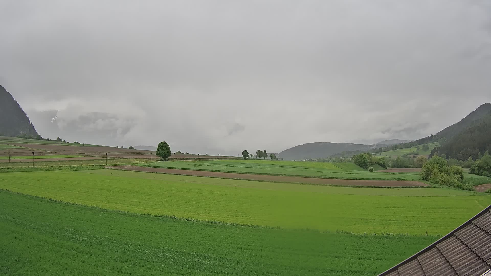 Gais | View from Vintage Farm Winklerhof to Kronplatz and Dolomites