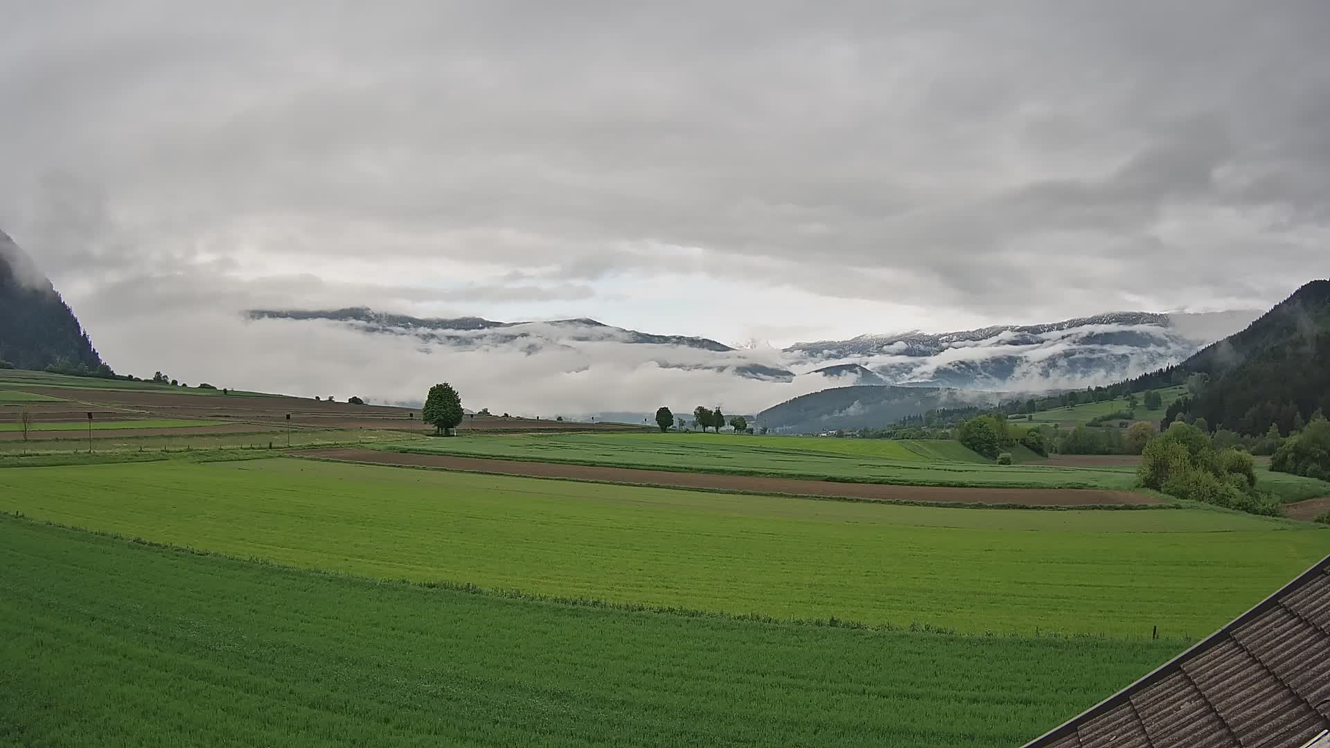 Gais | View from Vintage Farm Winklerhof to Kronplatz and Dolomites