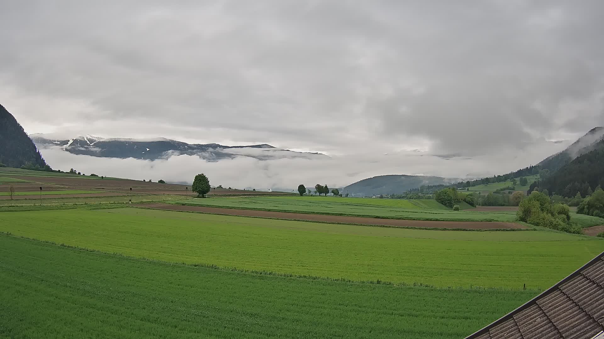 Gais | View from Vintage Farm Winklerhof to Kronplatz and Dolomites