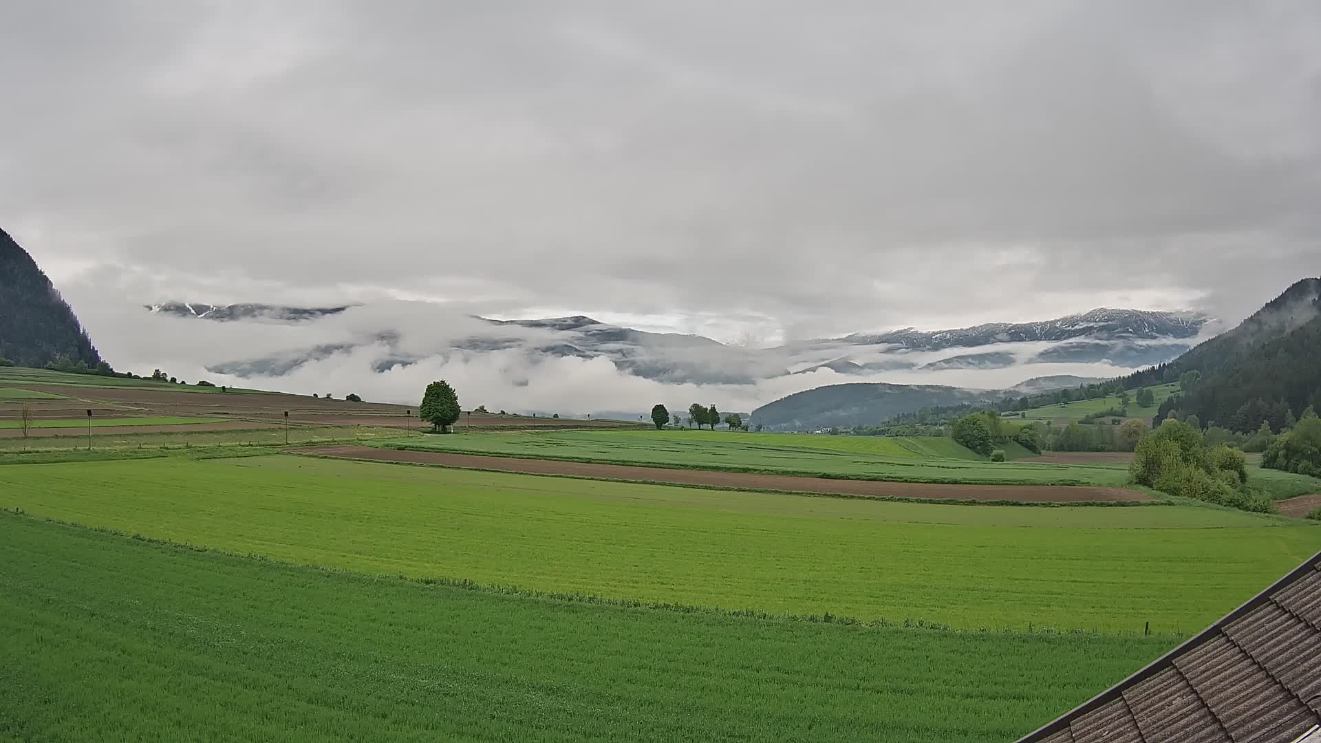 Gais | View from Vintage Farm Winklerhof to Kronplatz and Dolomites