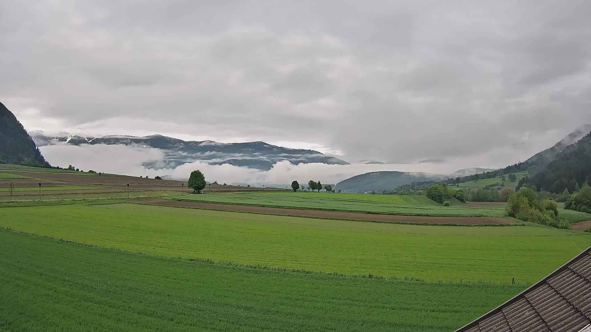 Gais | View from Vintage Farm Winklerhof to Kronplatz and Dolomites