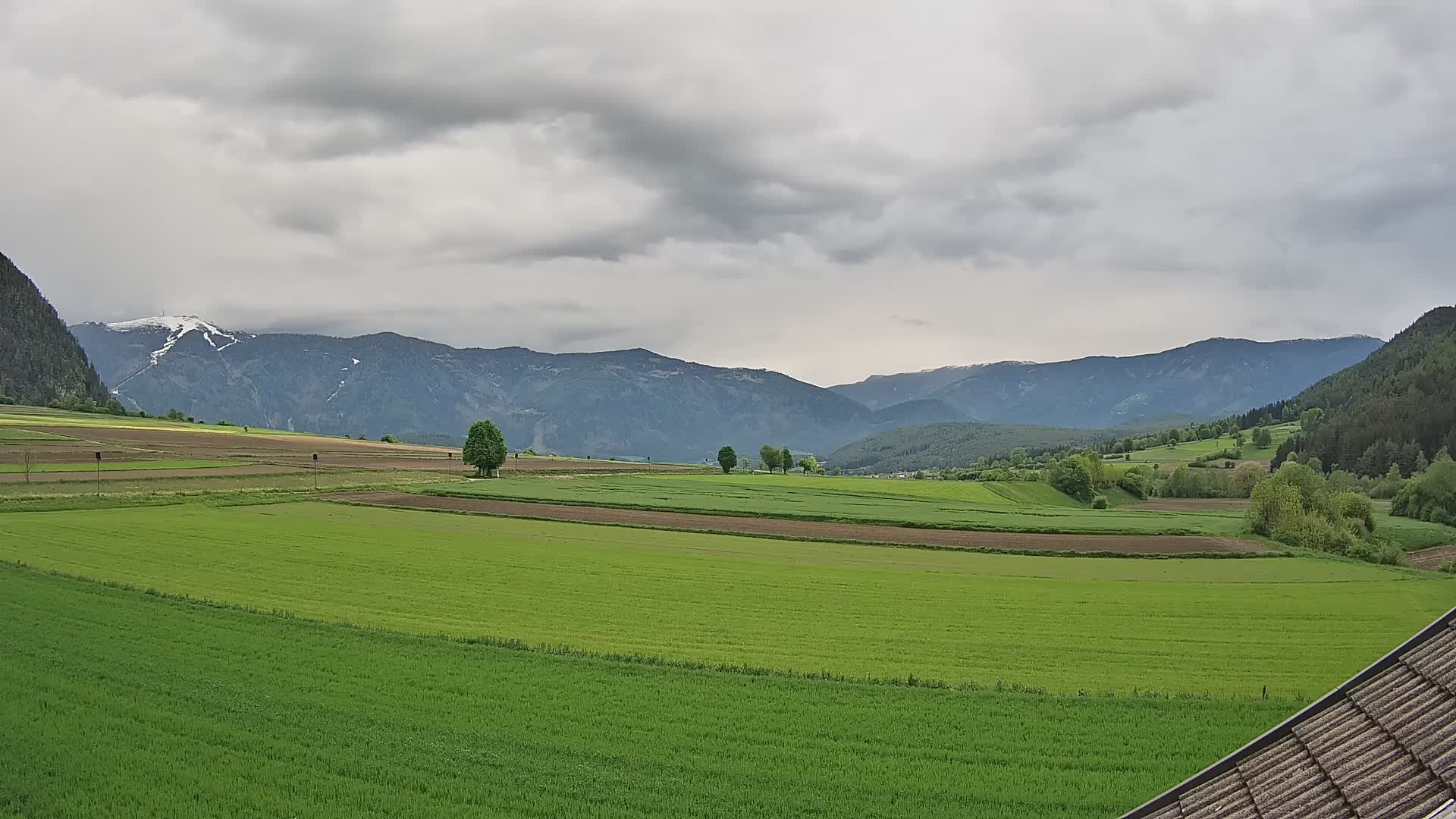 Gais | View from Vintage Farm Winklerhof to Kronplatz and Dolomites