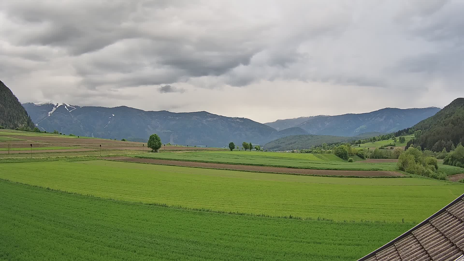 Gais | View from Vintage Farm Winklerhof to Kronplatz and Dolomites