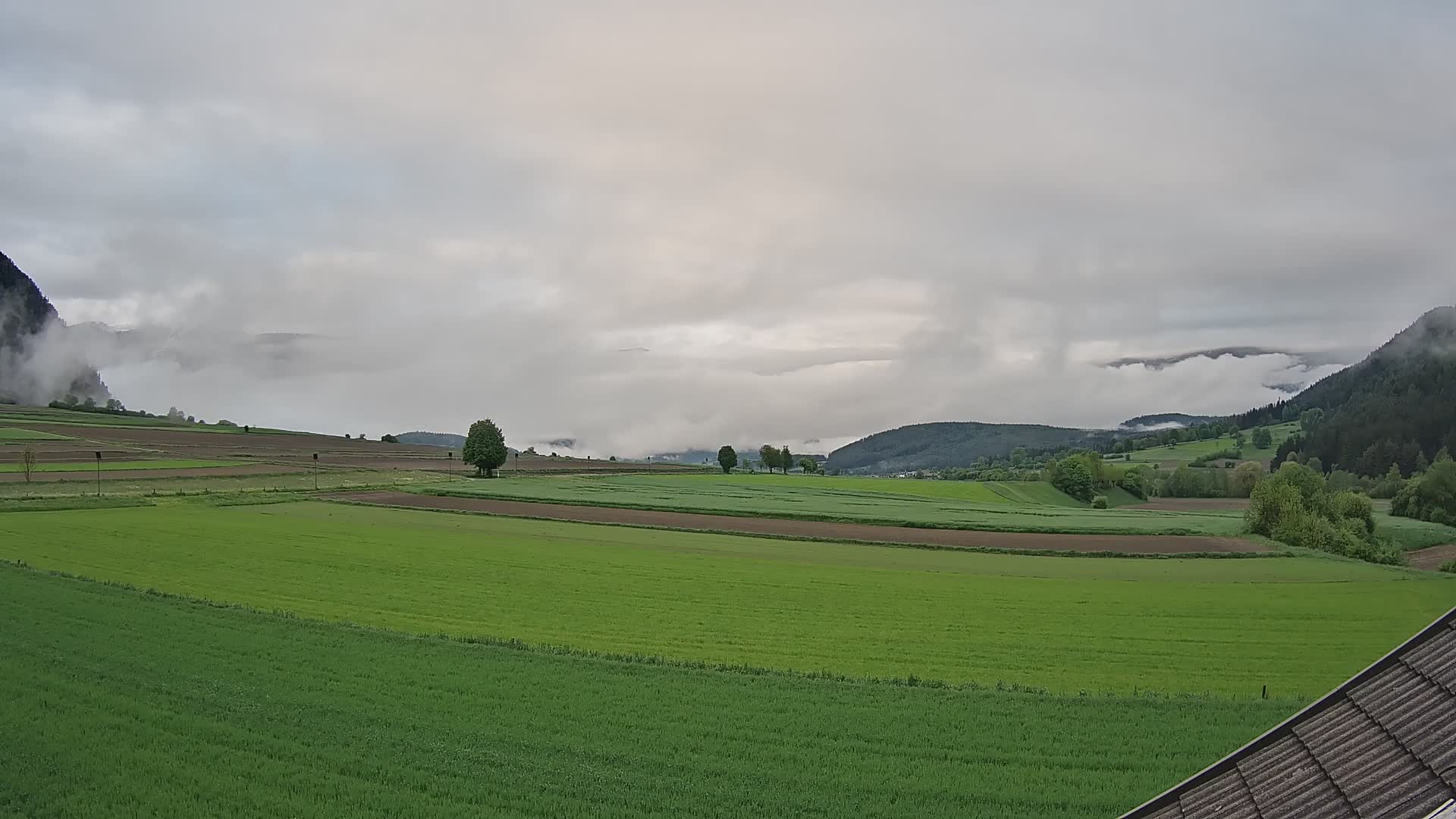 Gais | View from Vintage Farm Winklerhof to Kronplatz and Dolomites