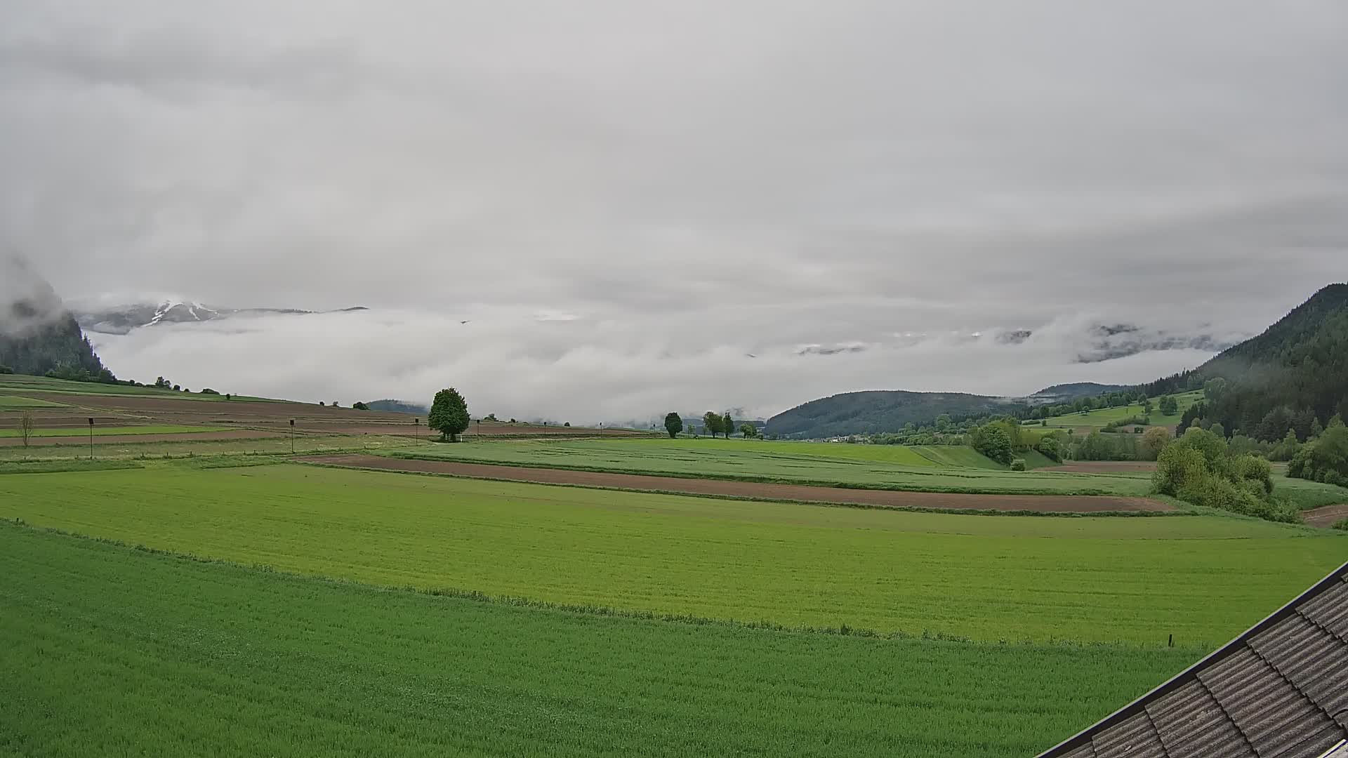Gais | View from Vintage Farm Winklerhof to Kronplatz and Dolomites