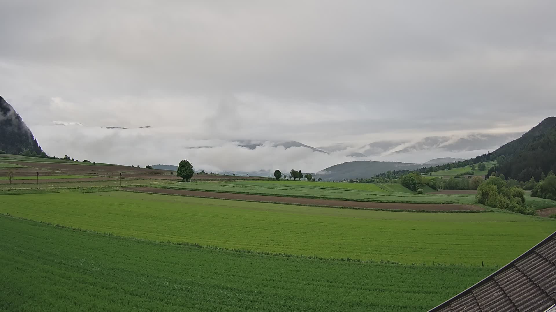 Gais | View from Vintage Farm Winklerhof to Kronplatz and Dolomites
