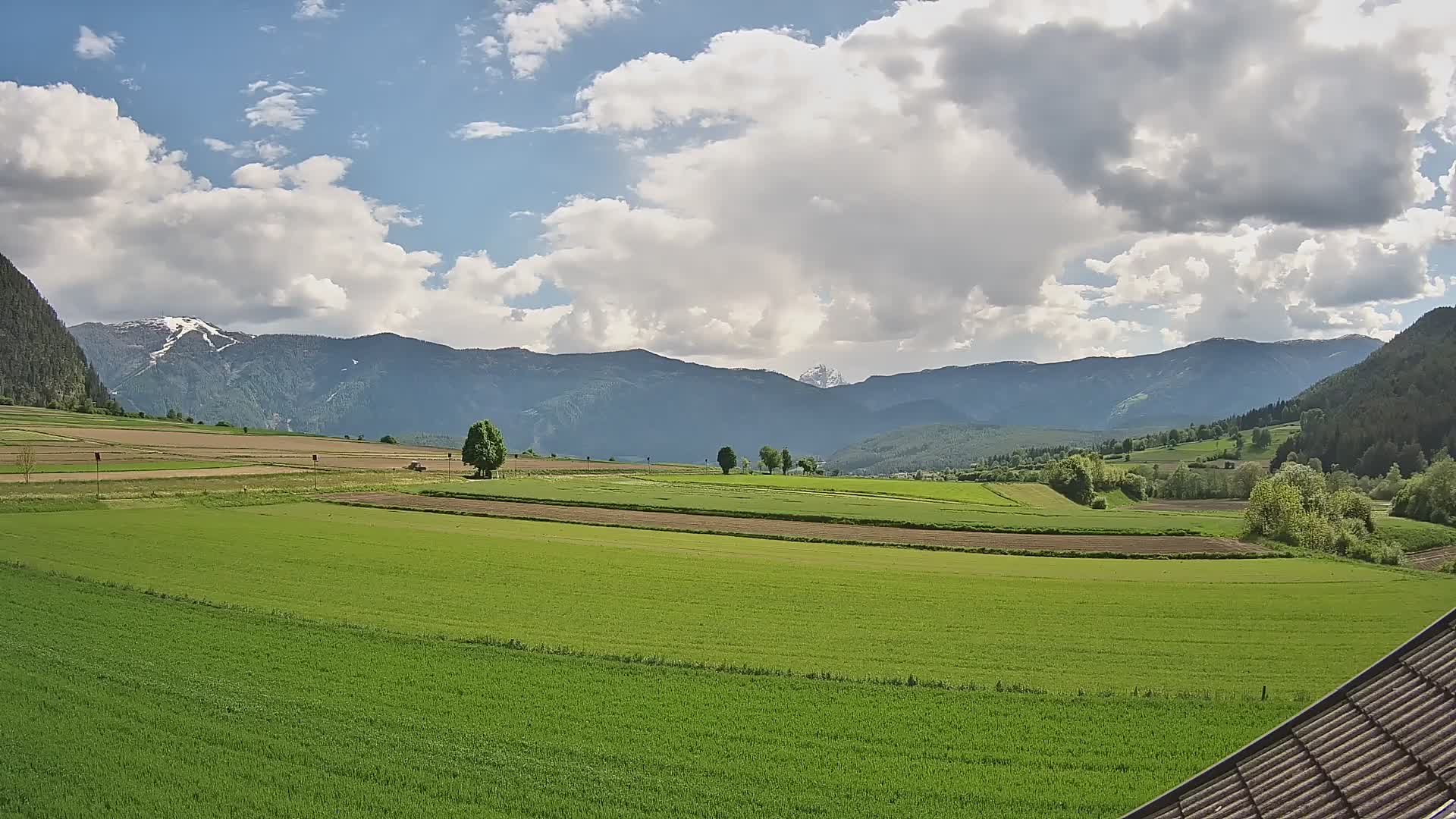 Gais | View from Vintage Farm Winklerhof to Kronplatz and Dolomites