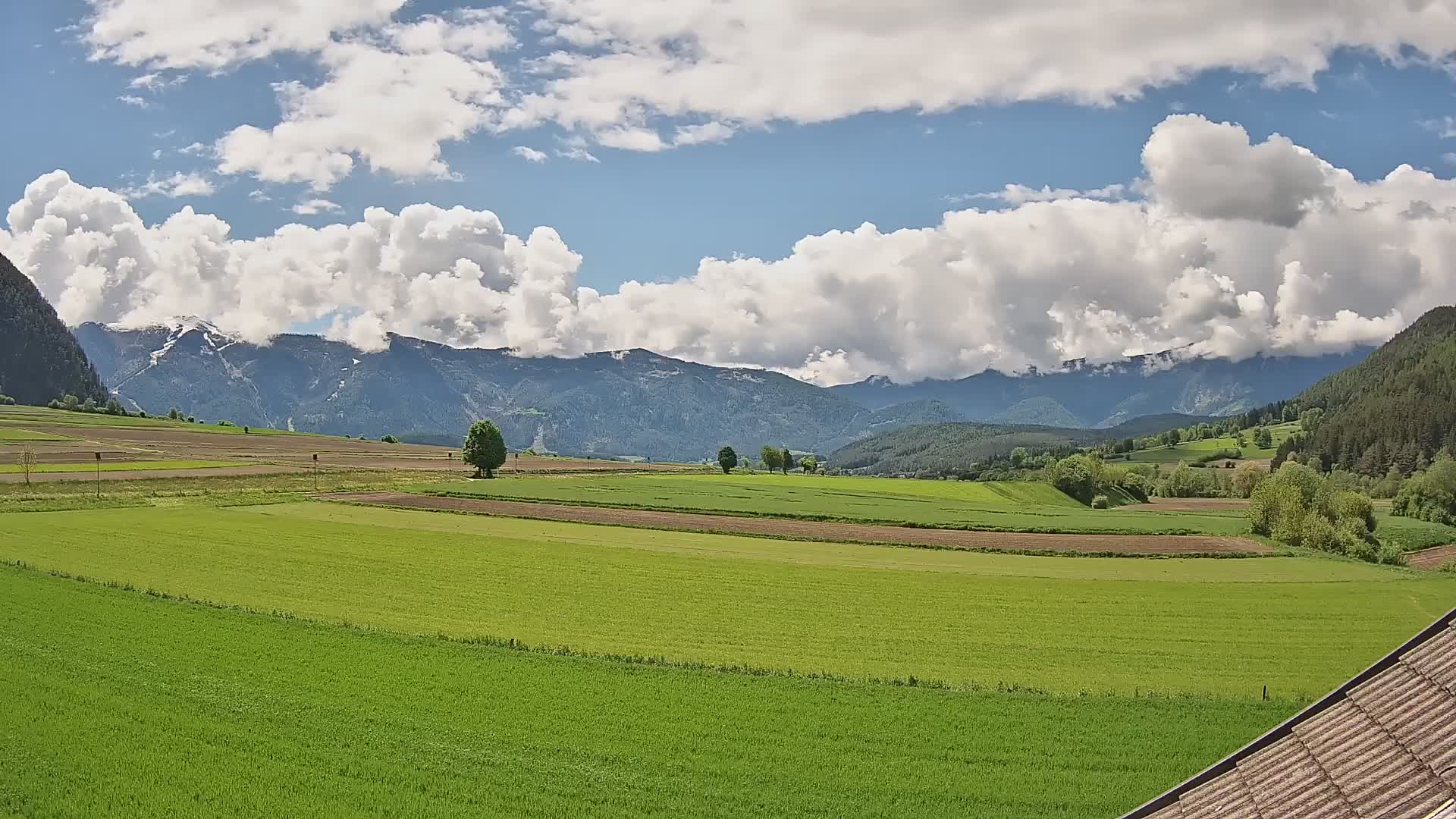 Gais | View from Vintage Farm Winklerhof to Kronplatz and Dolomites