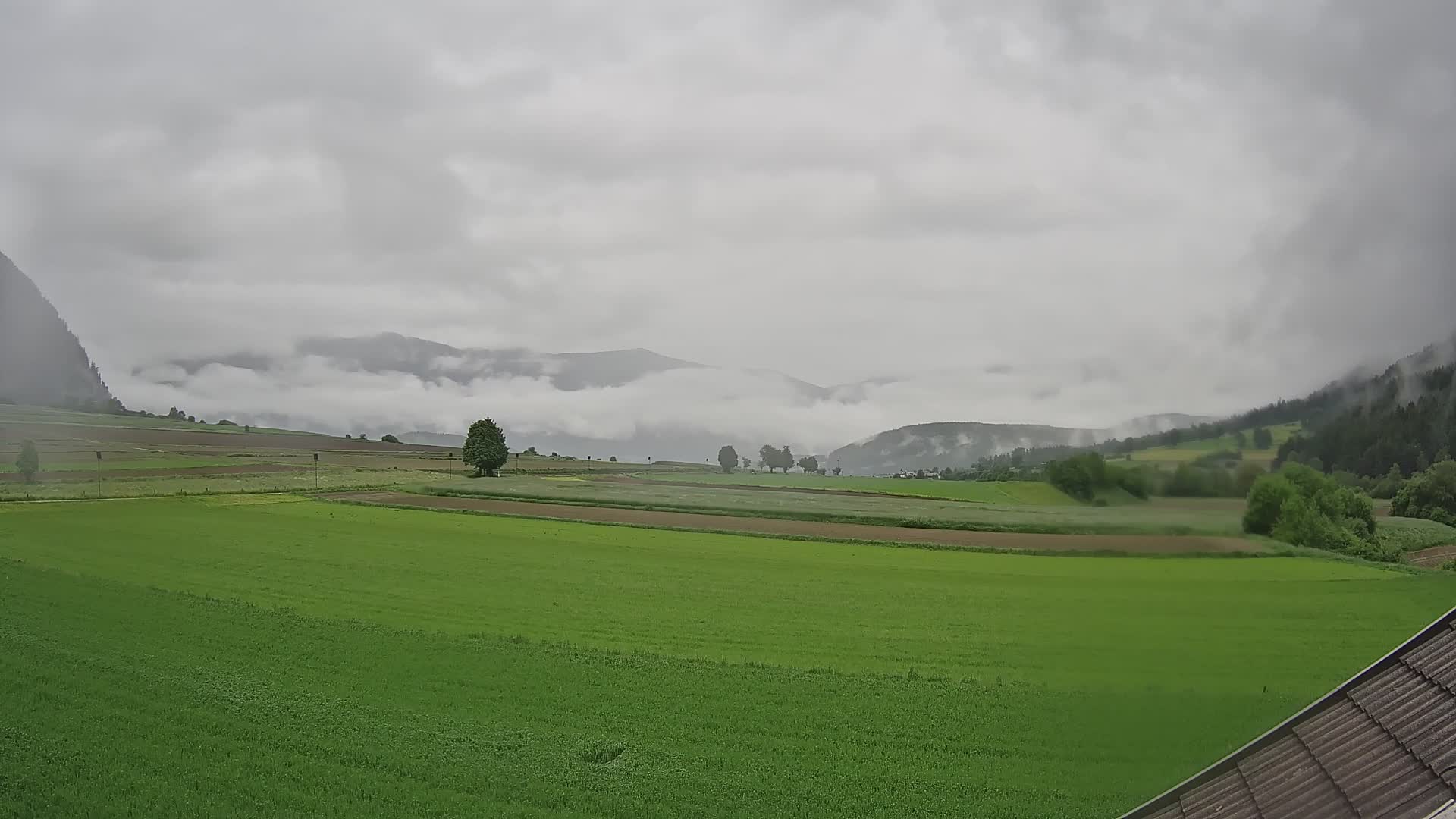 Gais | View from Vintage Farm Winklerhof to Kronplatz and Dolomites