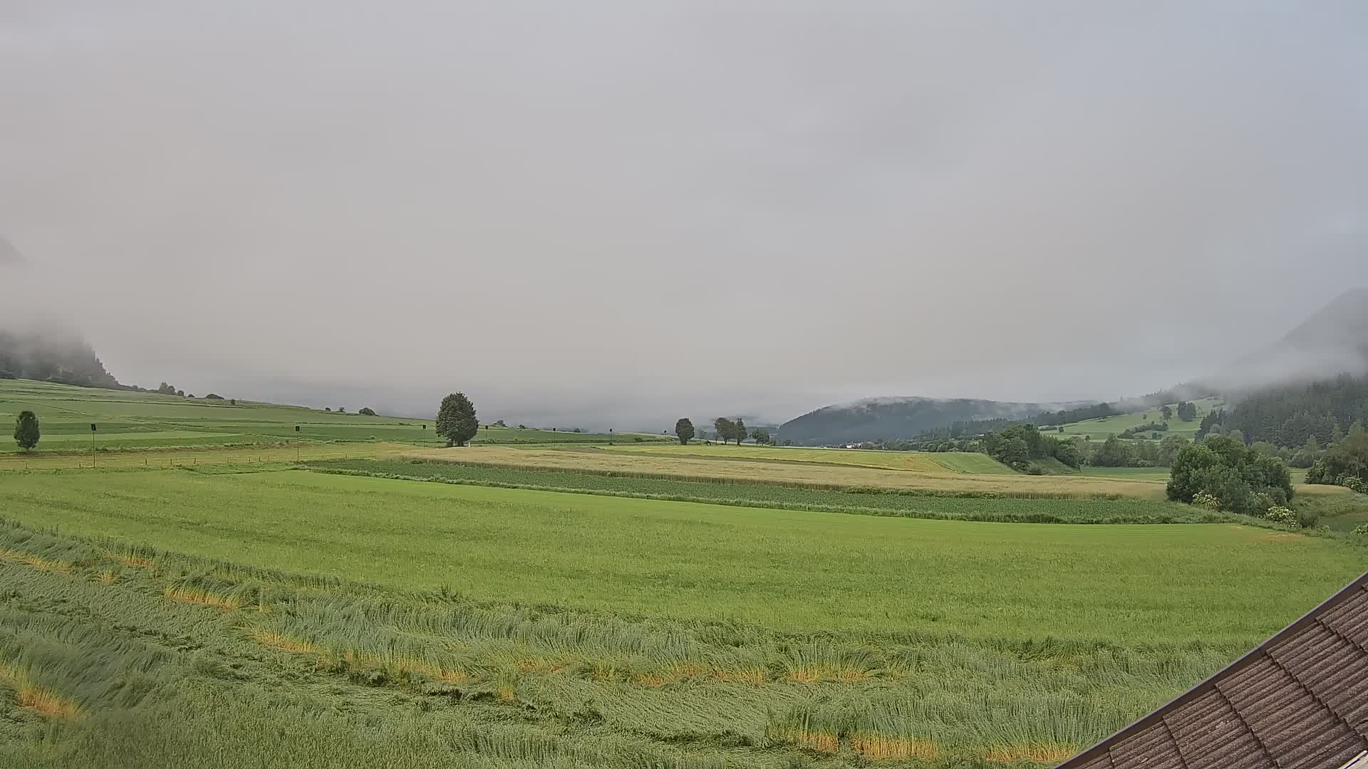Gais | Vista dall’agriturismo Winklerhof verso Plan de Corones e le Dolomiti