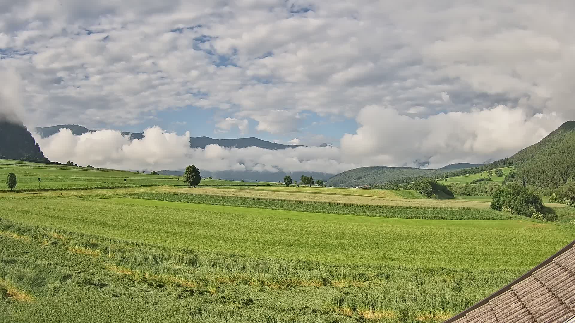 Gais | View from Vintage Farm Winklerhof to Kronplatz and Dolomites
