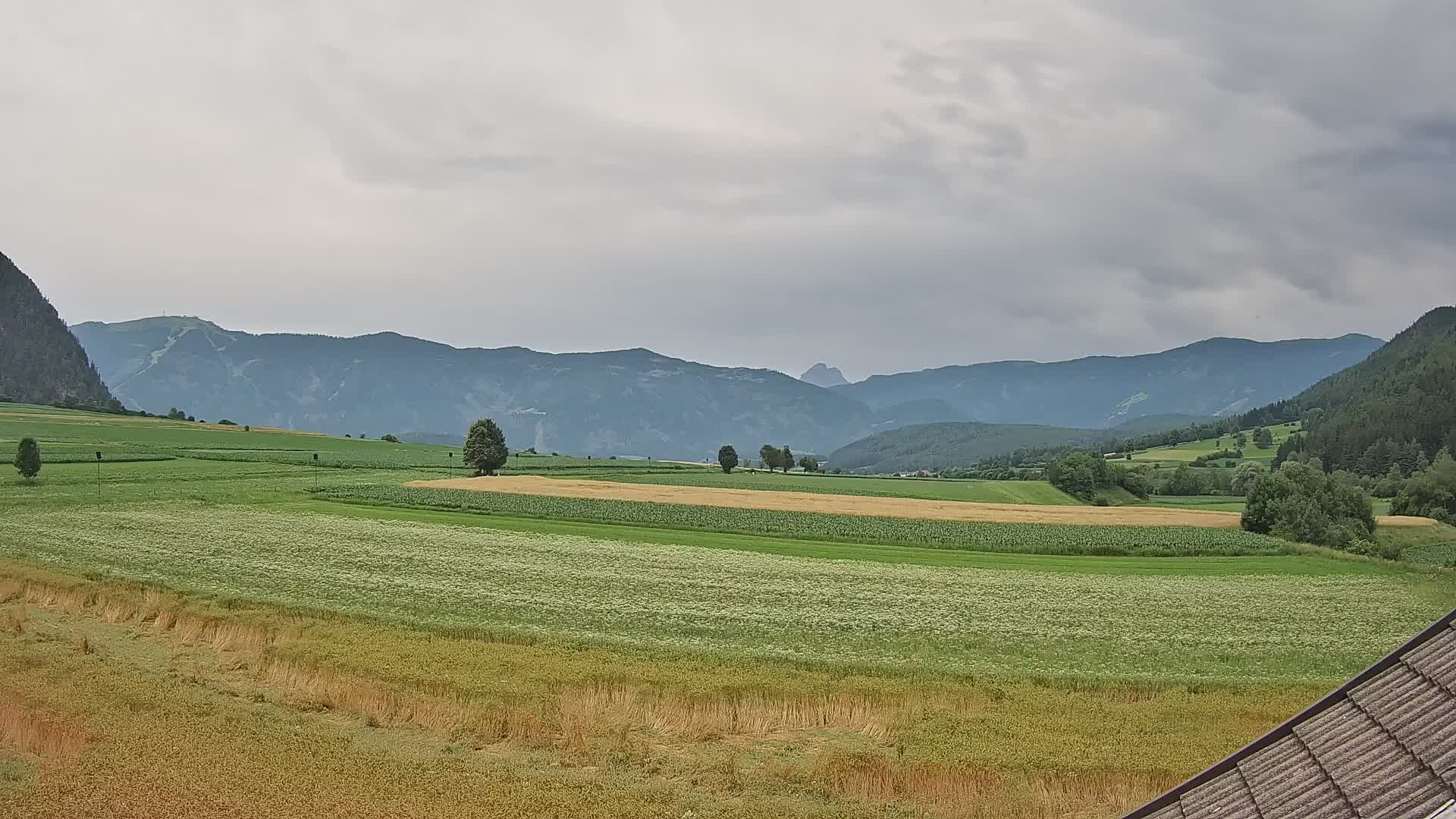 Gais | View from Vintage Farm Winklerhof to Kronplatz and Dolomites