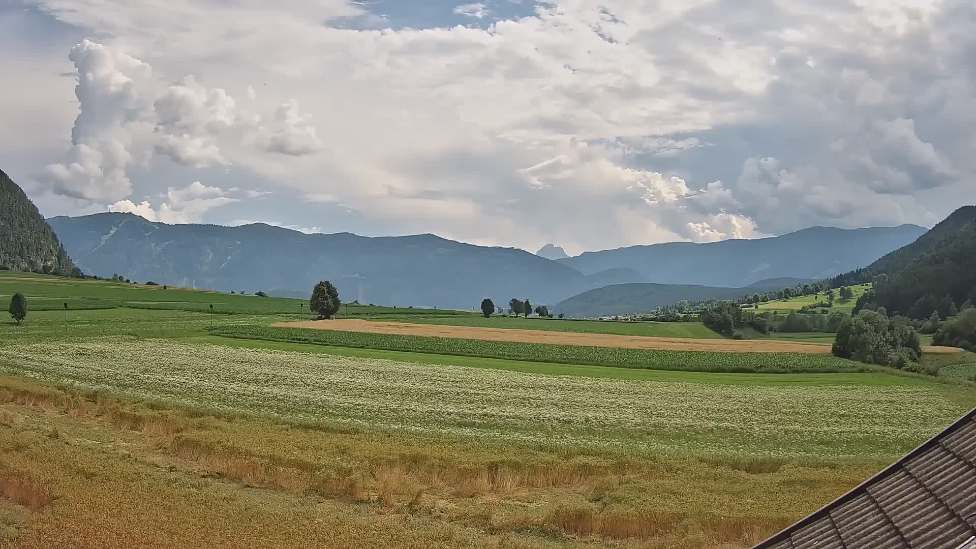 Gais | View from Vintage Farm Winklerhof to Kronplatz and Dolomites