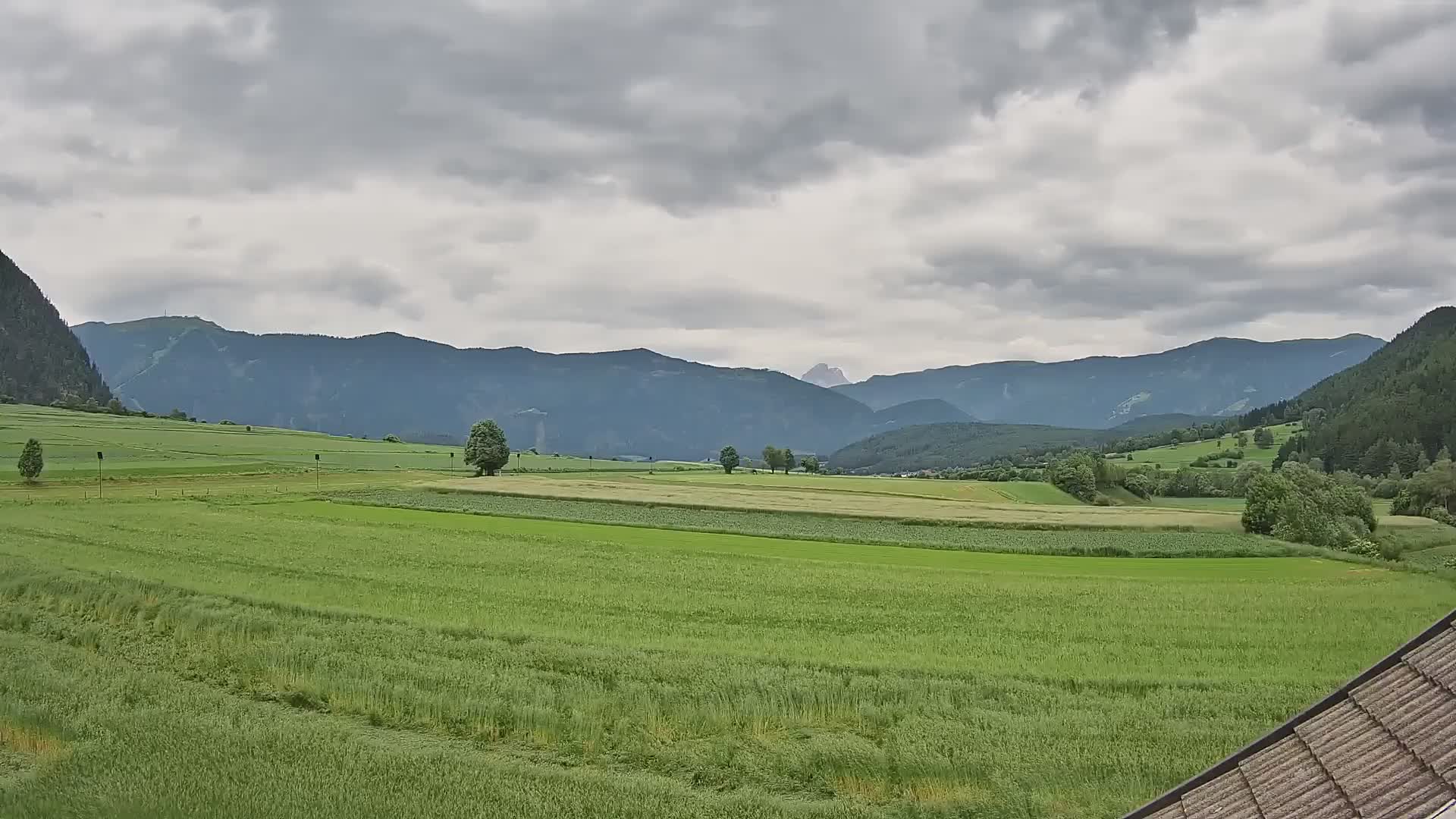 Gais | View from Vintage Farm Winklerhof to Kronplatz and Dolomites