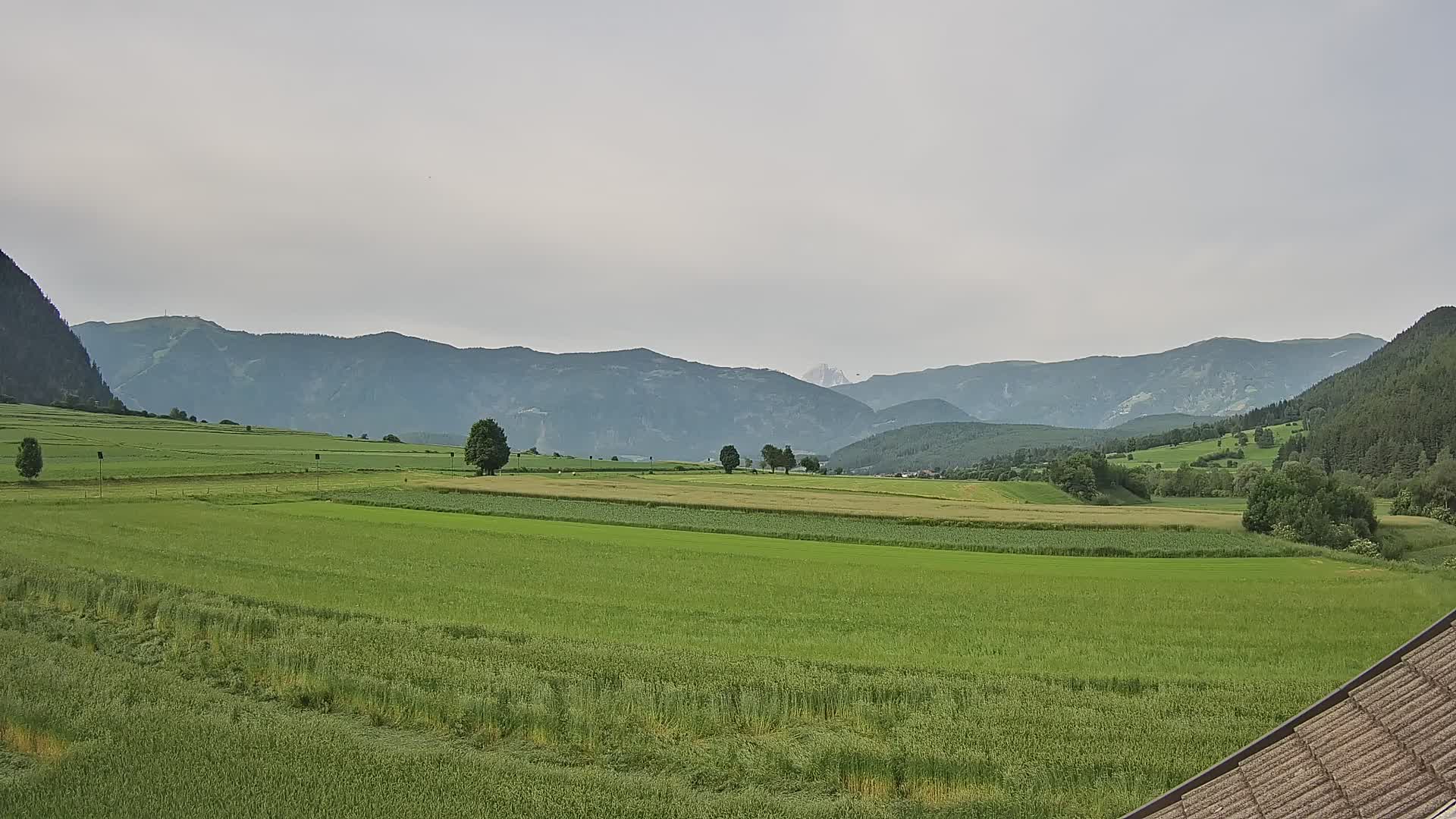 Gais | View from Vintage Farm Winklerhof to Kronplatz and Dolomites