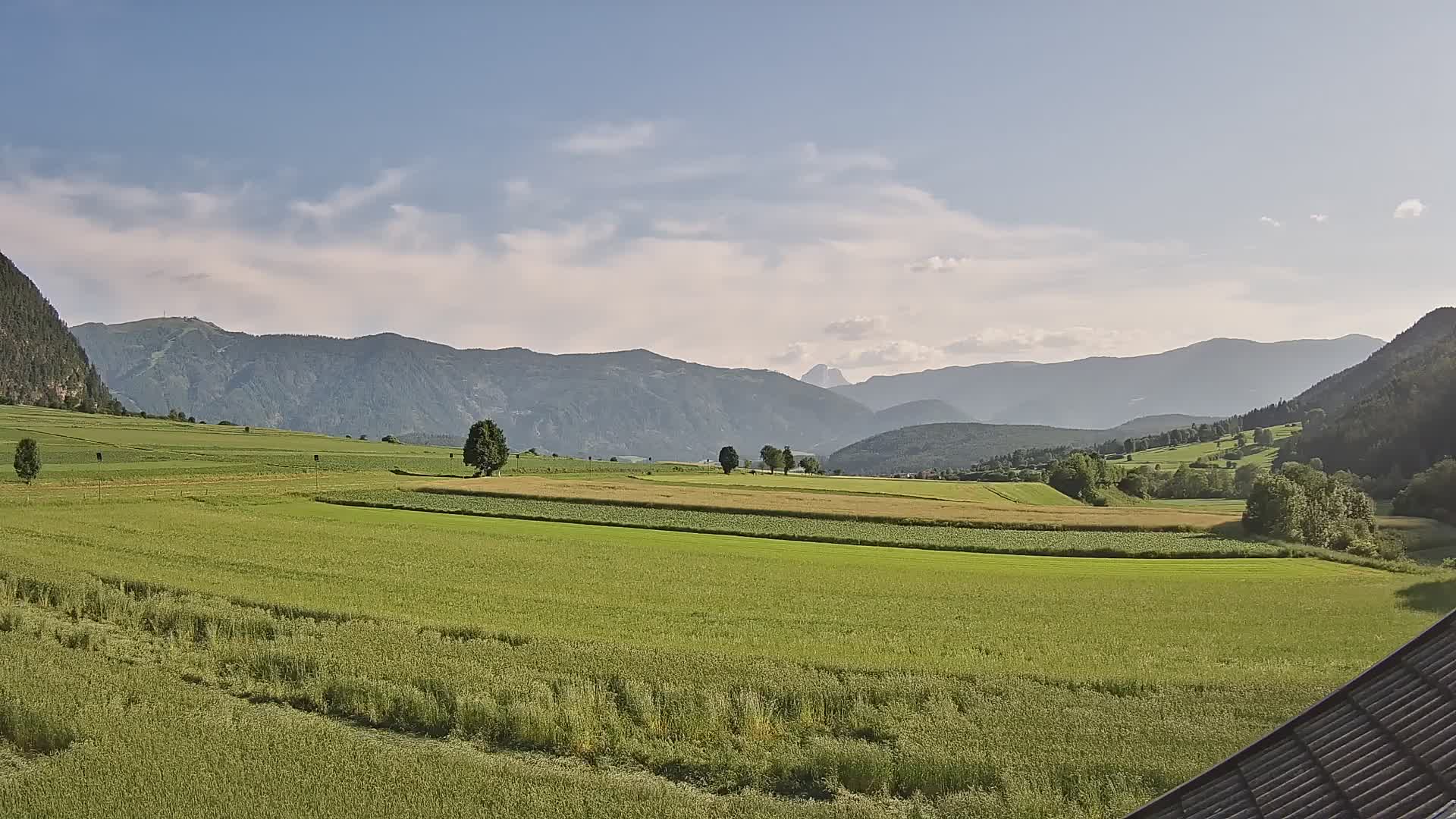 Gais | View from Vintage Farm Winklerhof to Kronplatz and Dolomites