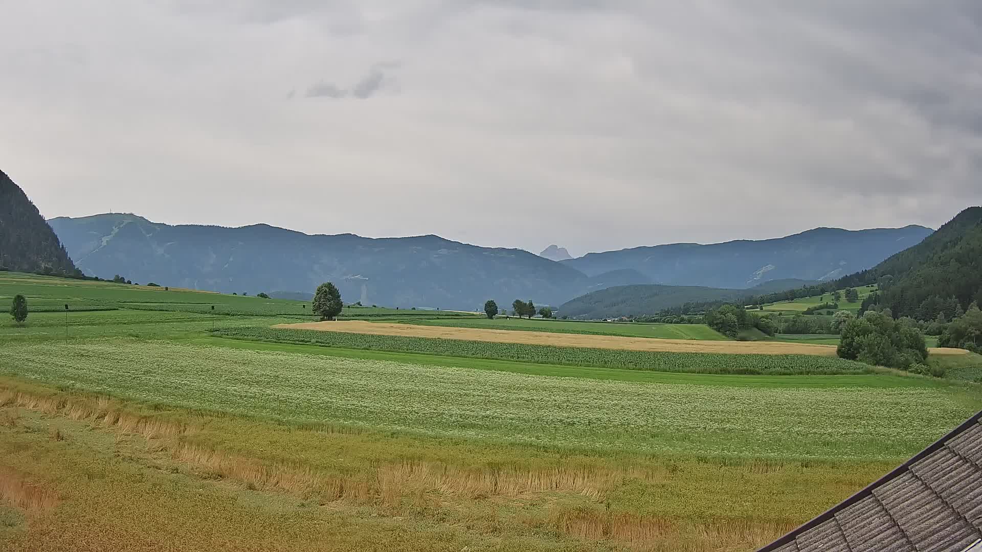 Gais | View from Vintage Farm Winklerhof to Kronplatz and Dolomites