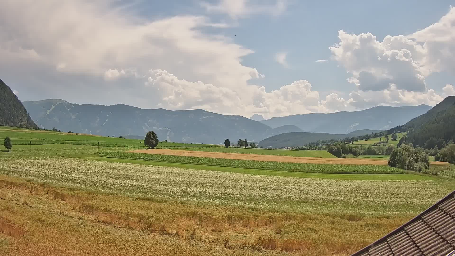 Gais | View from Vintage Farm Winklerhof to Kronplatz and Dolomites