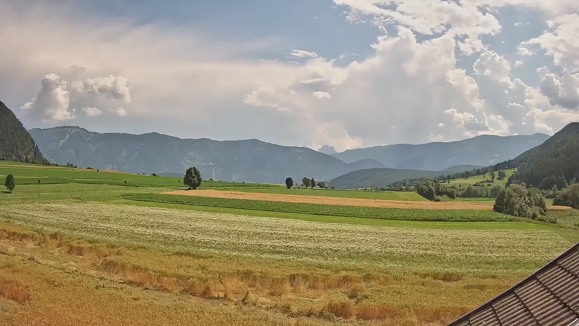 Gais | View from Vintage Farm Winklerhof to Kronplatz and Dolomites