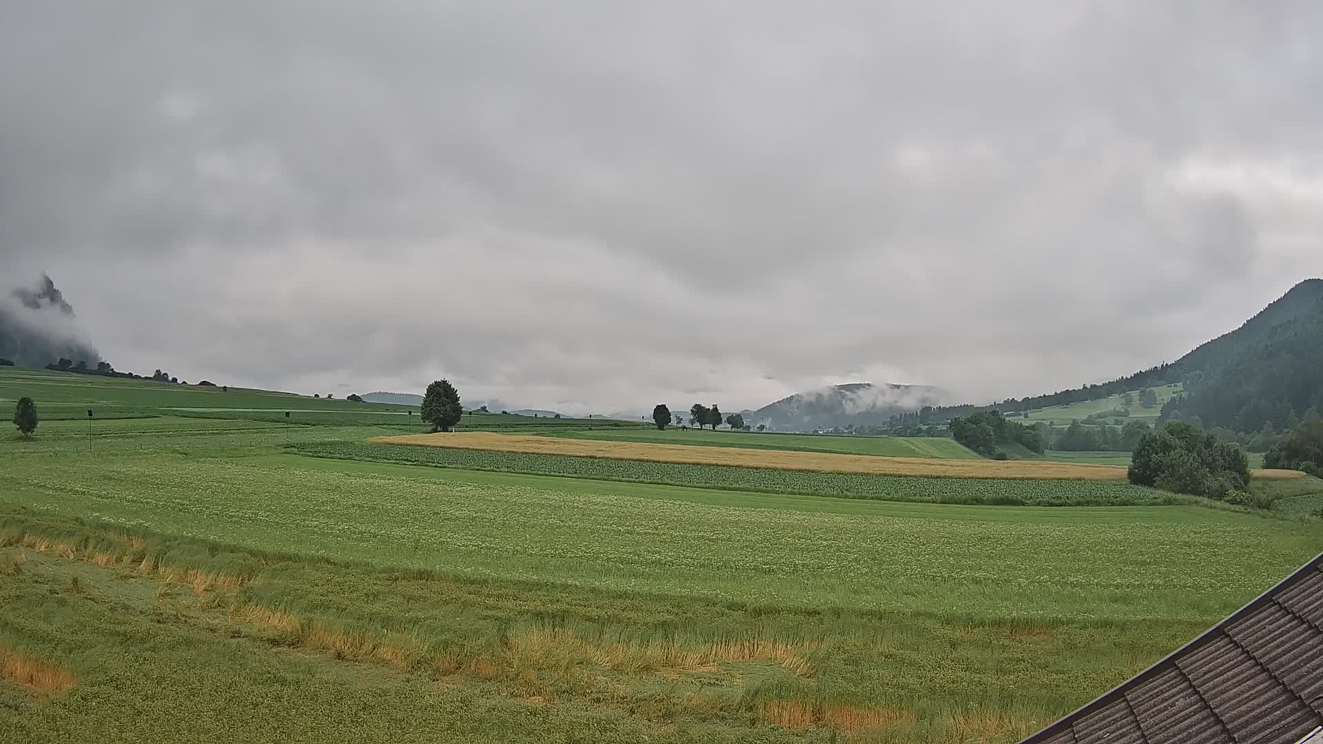 Gais | View from Vintage Farm Winklerhof to Kronplatz and Dolomites