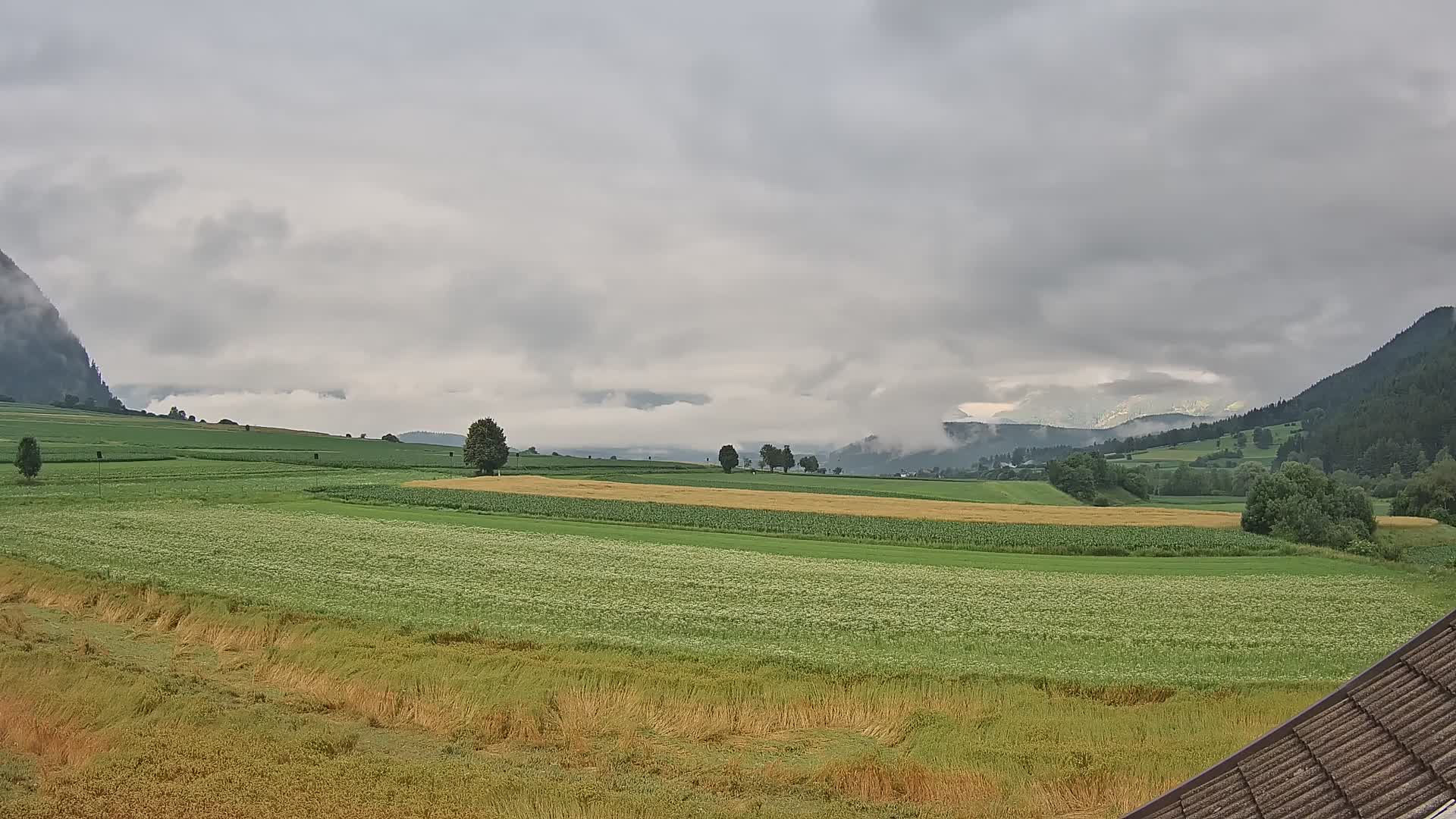 Gais | View from Vintage Farm Winklerhof to Kronplatz and Dolomites