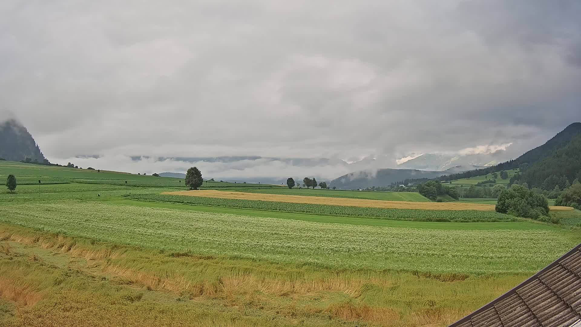 Gais | View from Vintage Farm Winklerhof to Kronplatz and Dolomites