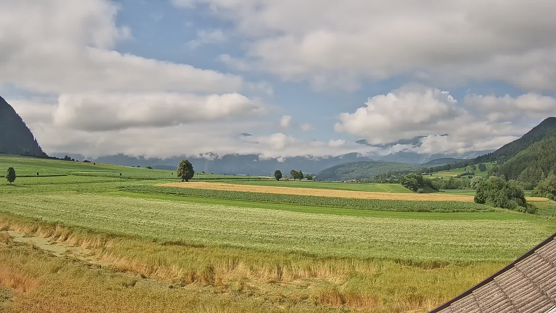 Gais | View from Vintage Farm Winklerhof to Kronplatz and Dolomites