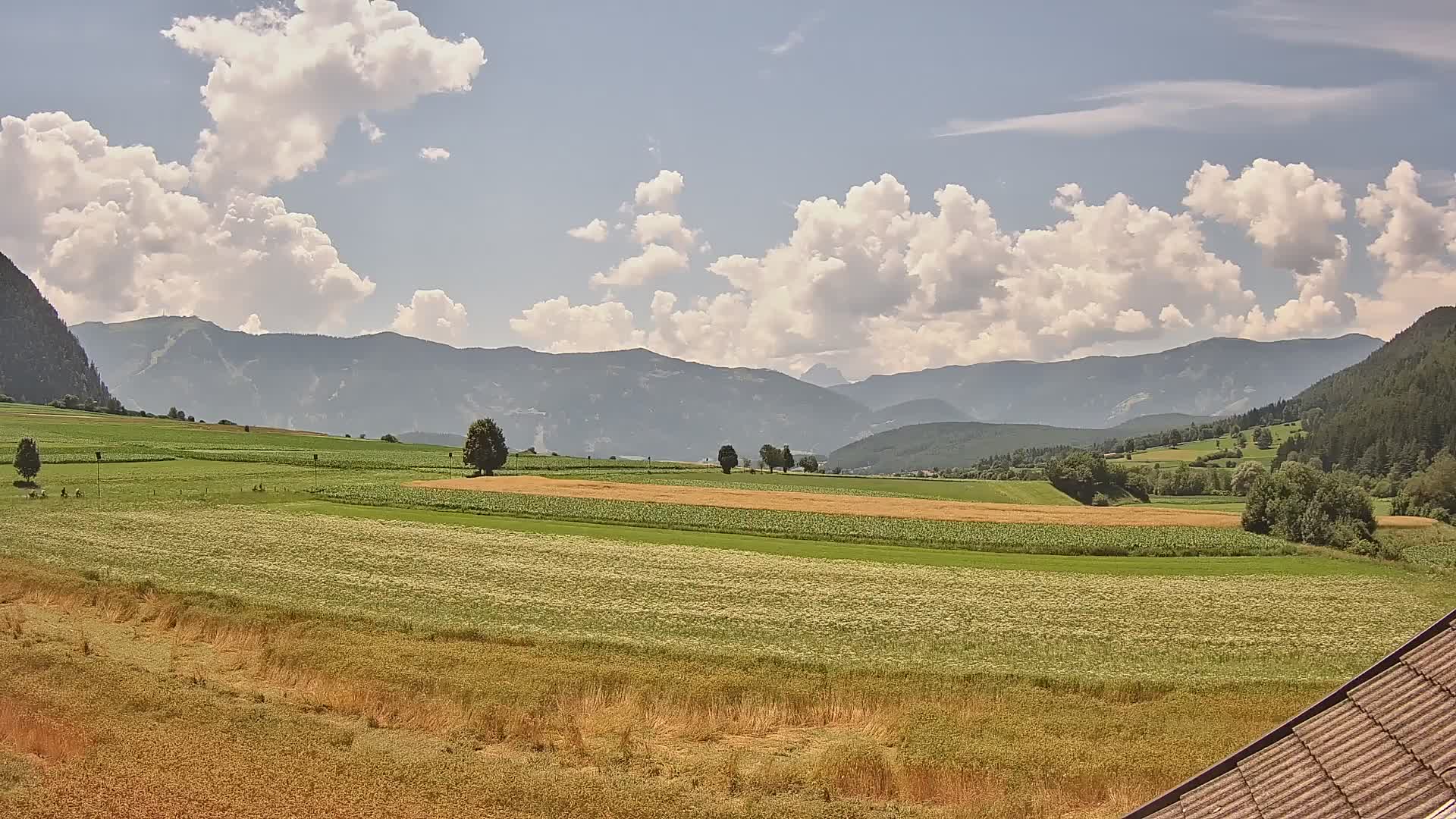 Gais | View from Vintage Farm Winklerhof to Kronplatz and Dolomites