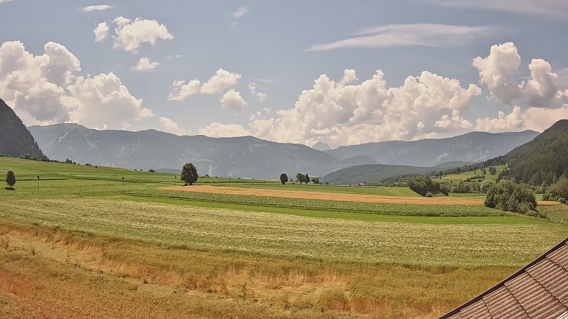 Gais | View from Vintage Farm Winklerhof to Kronplatz and Dolomites