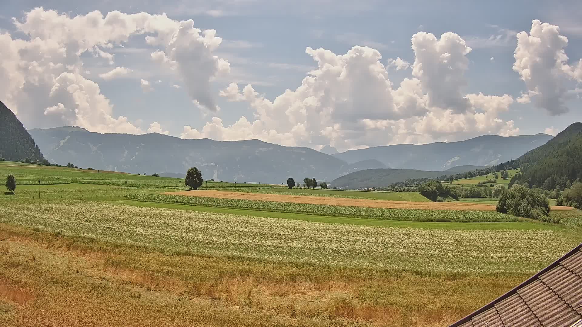 Gais | View from Vintage Farm Winklerhof to Kronplatz and Dolomites