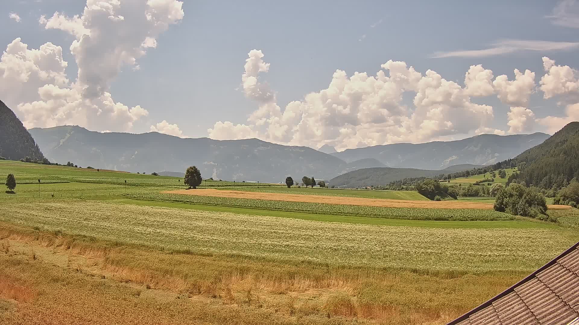 Gais | View from Vintage Farm Winklerhof to Kronplatz and Dolomites