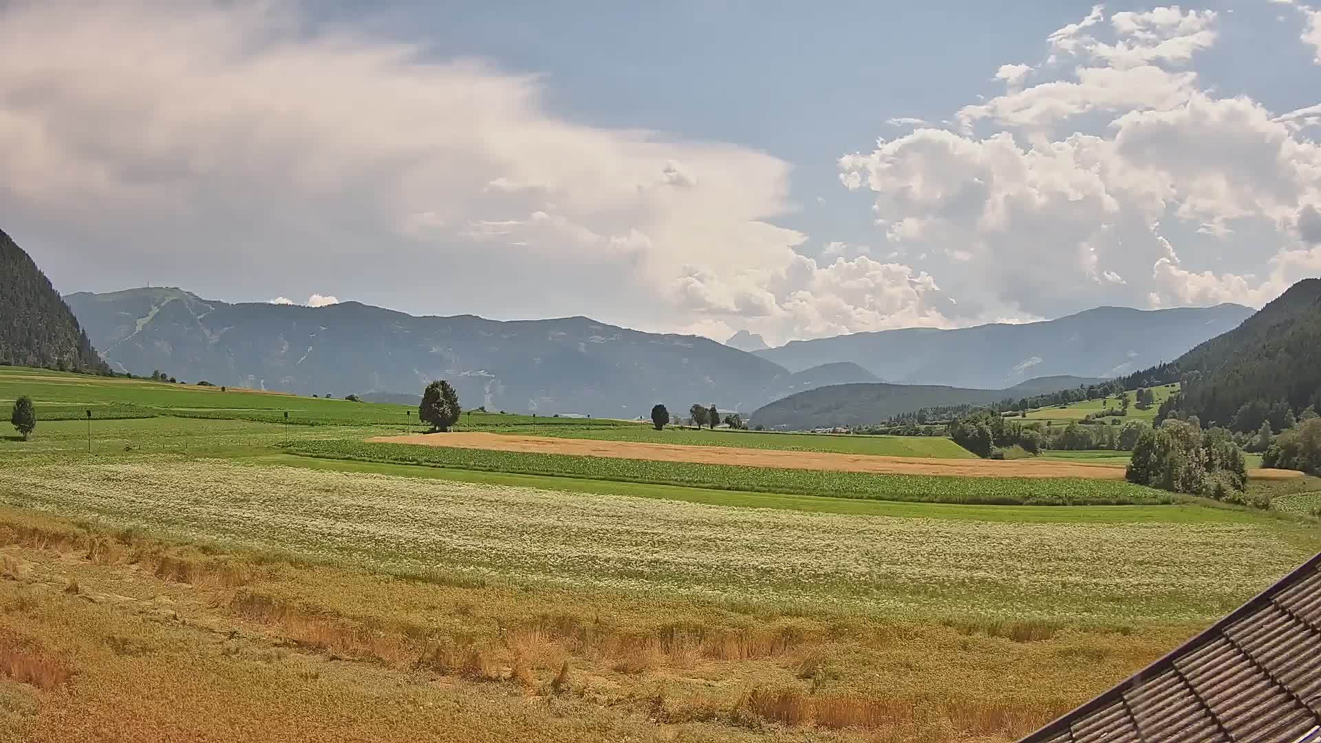 Gais | View from Vintage Farm Winklerhof to Kronplatz and Dolomites