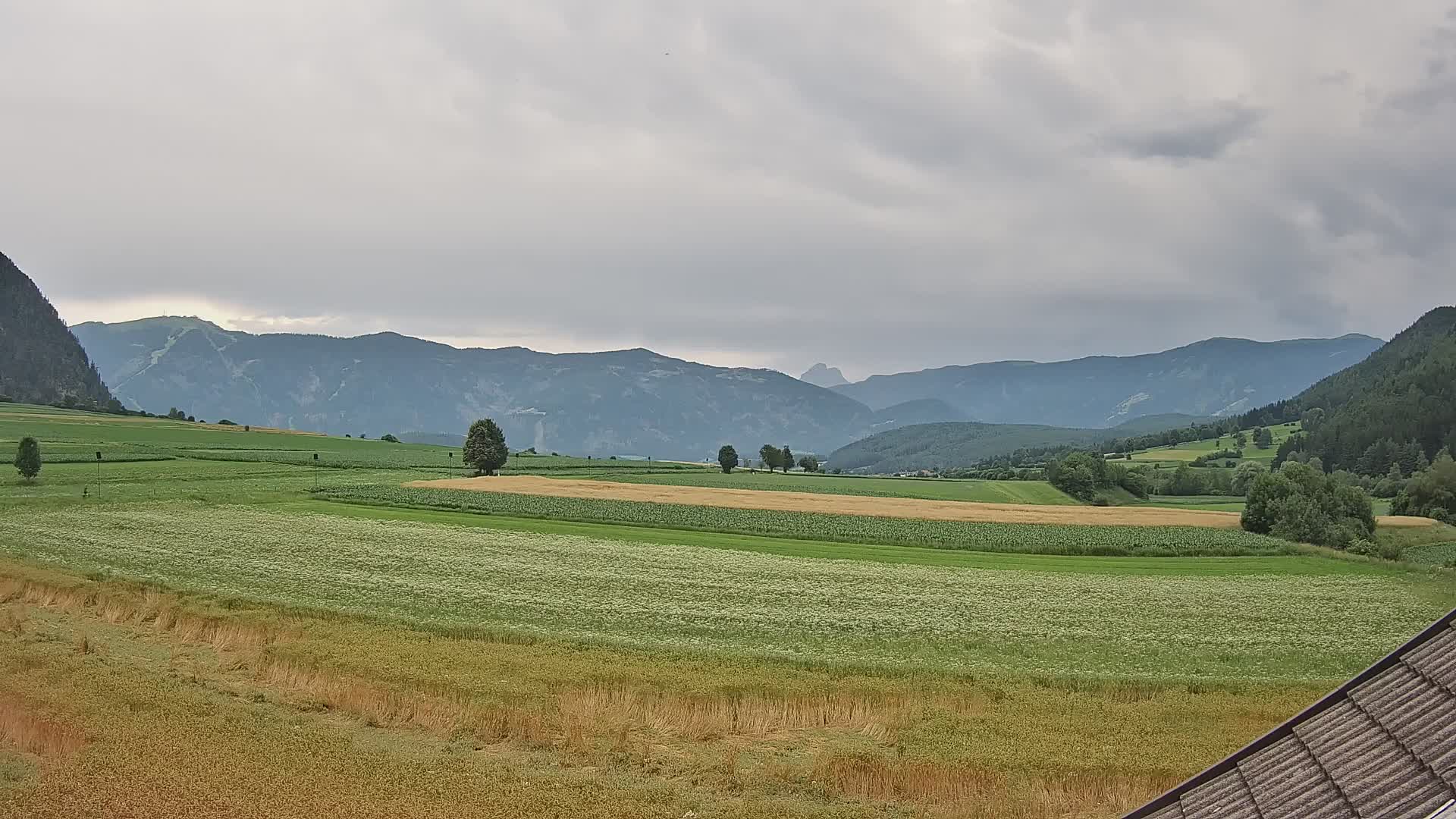 Gais | View from Vintage Farm Winklerhof to Kronplatz and Dolomites