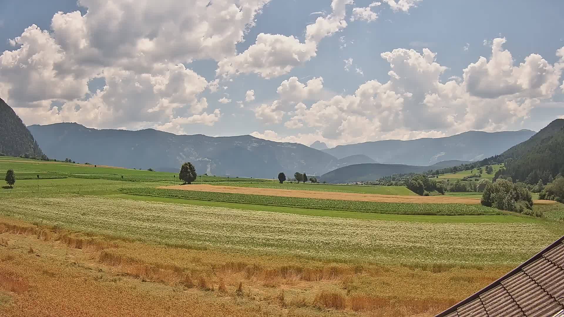 Gais | View from Vintage Farm Winklerhof to Kronplatz and Dolomites