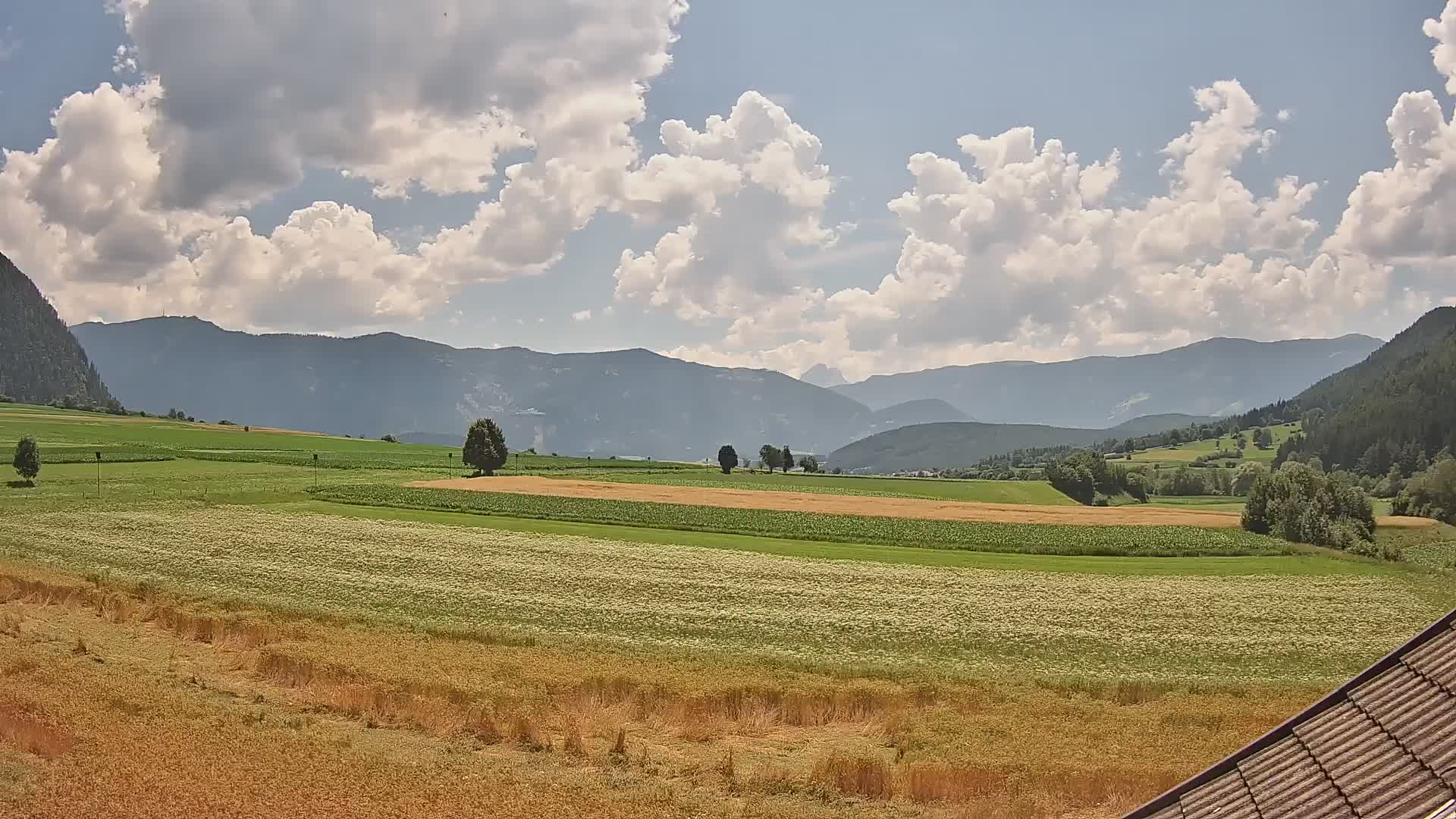 Gais | View from Vintage Farm Winklerhof to Kronplatz and Dolomites