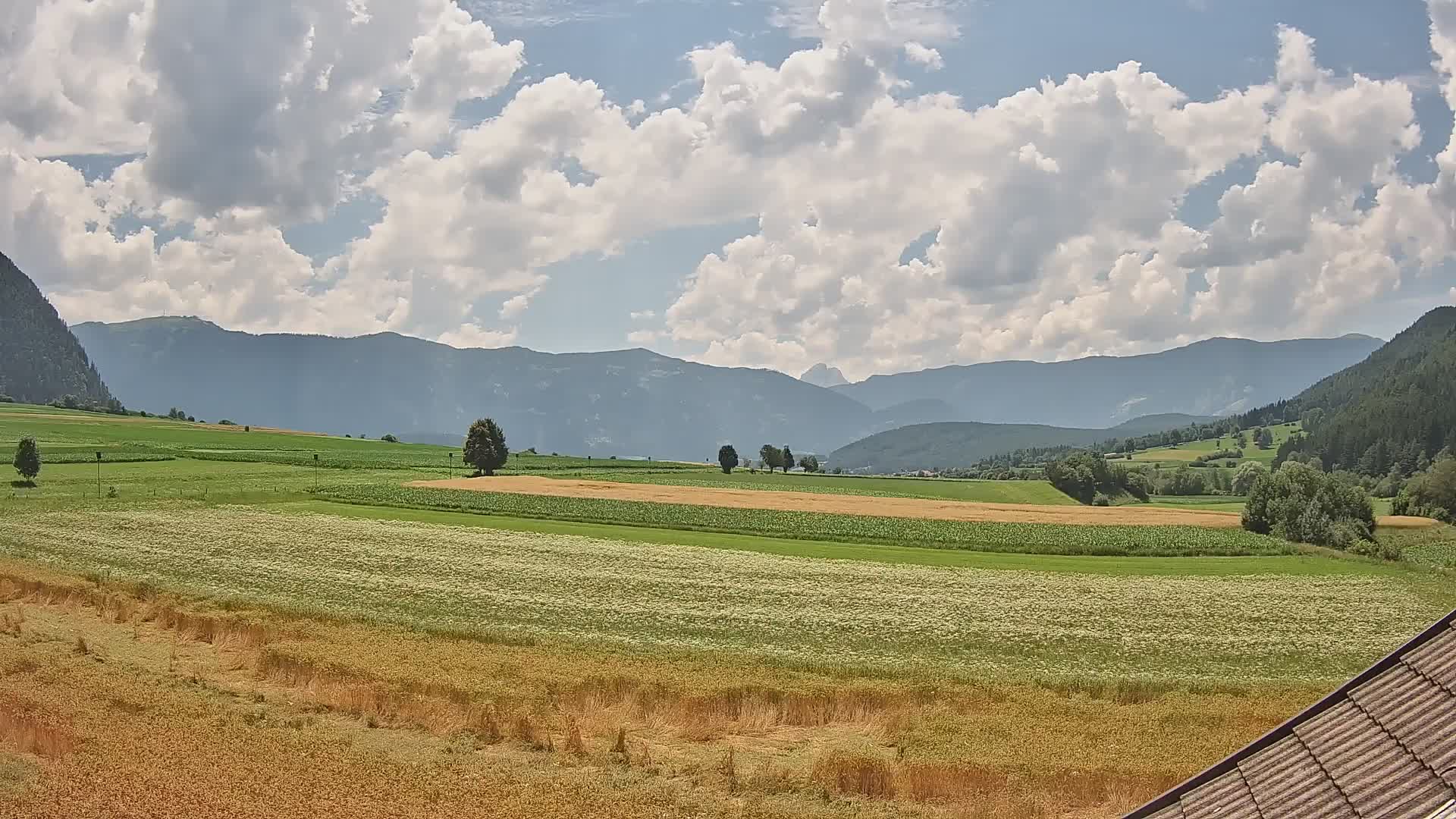 Gais | View from Vintage Farm Winklerhof to Kronplatz and Dolomites