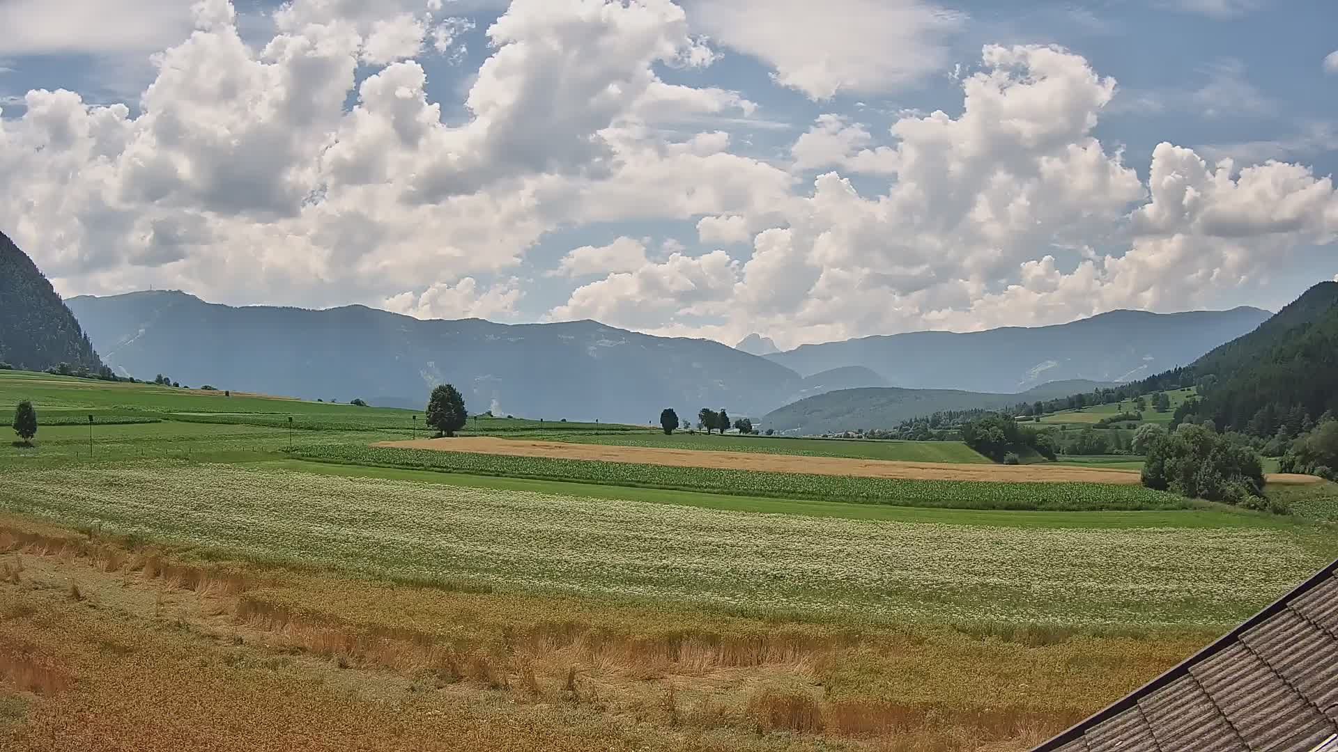Gais | Blick vom Vintage Farm Winklerhof auf Kronplatz und Dolomiten