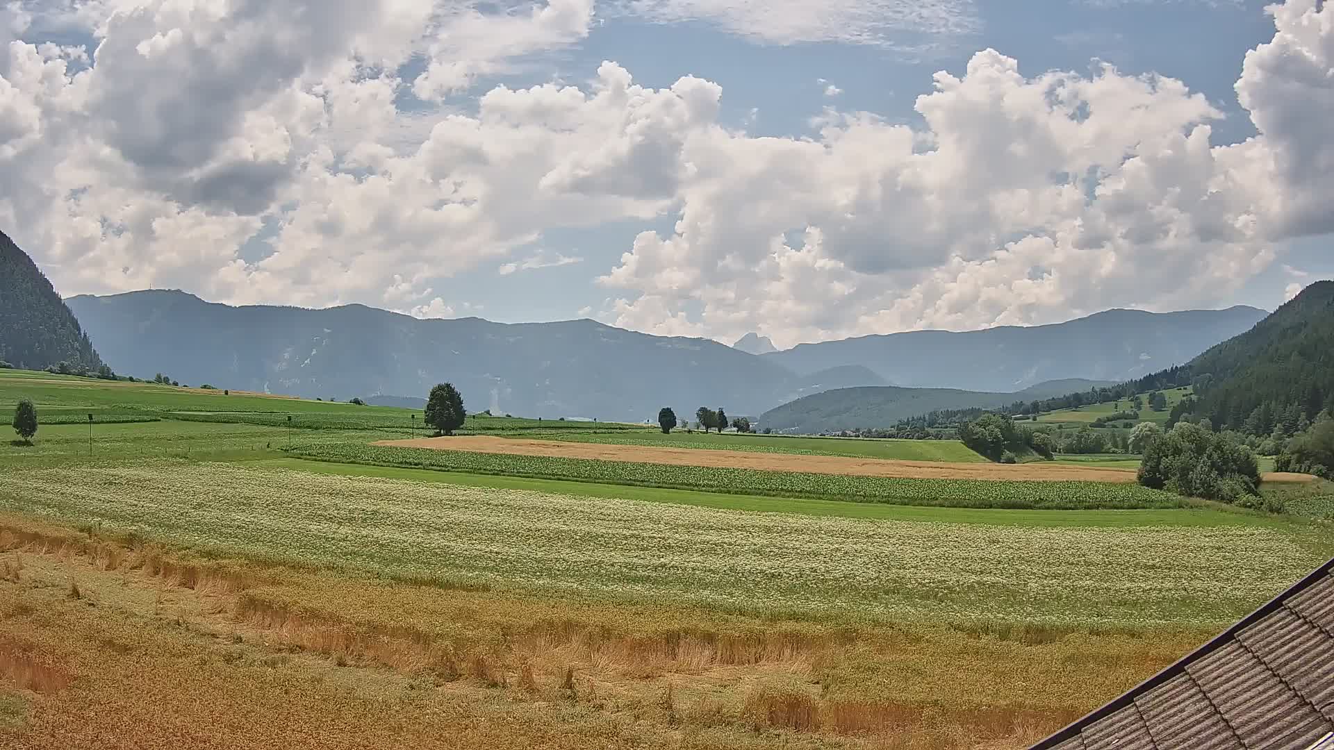 Gais | View from Vintage Farm Winklerhof to Kronplatz and Dolomites