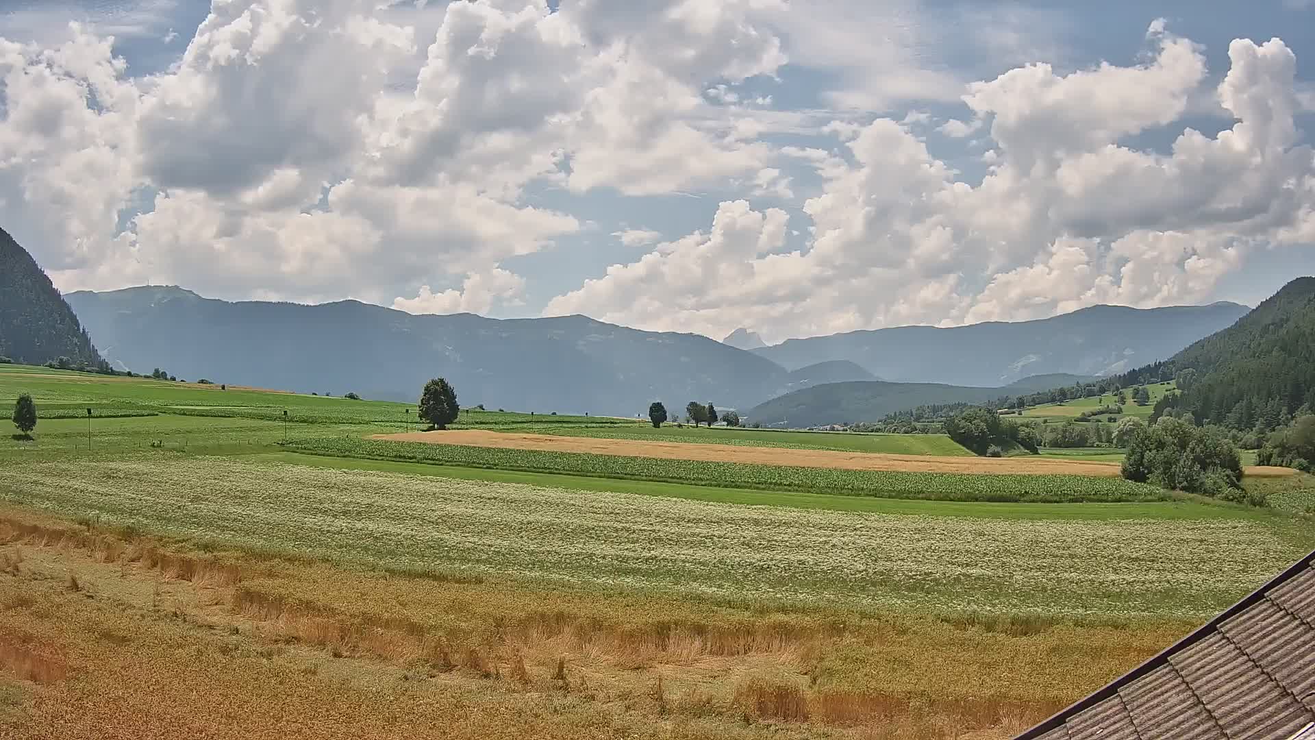 Gais | View from Vintage Farm Winklerhof to Kronplatz and Dolomites