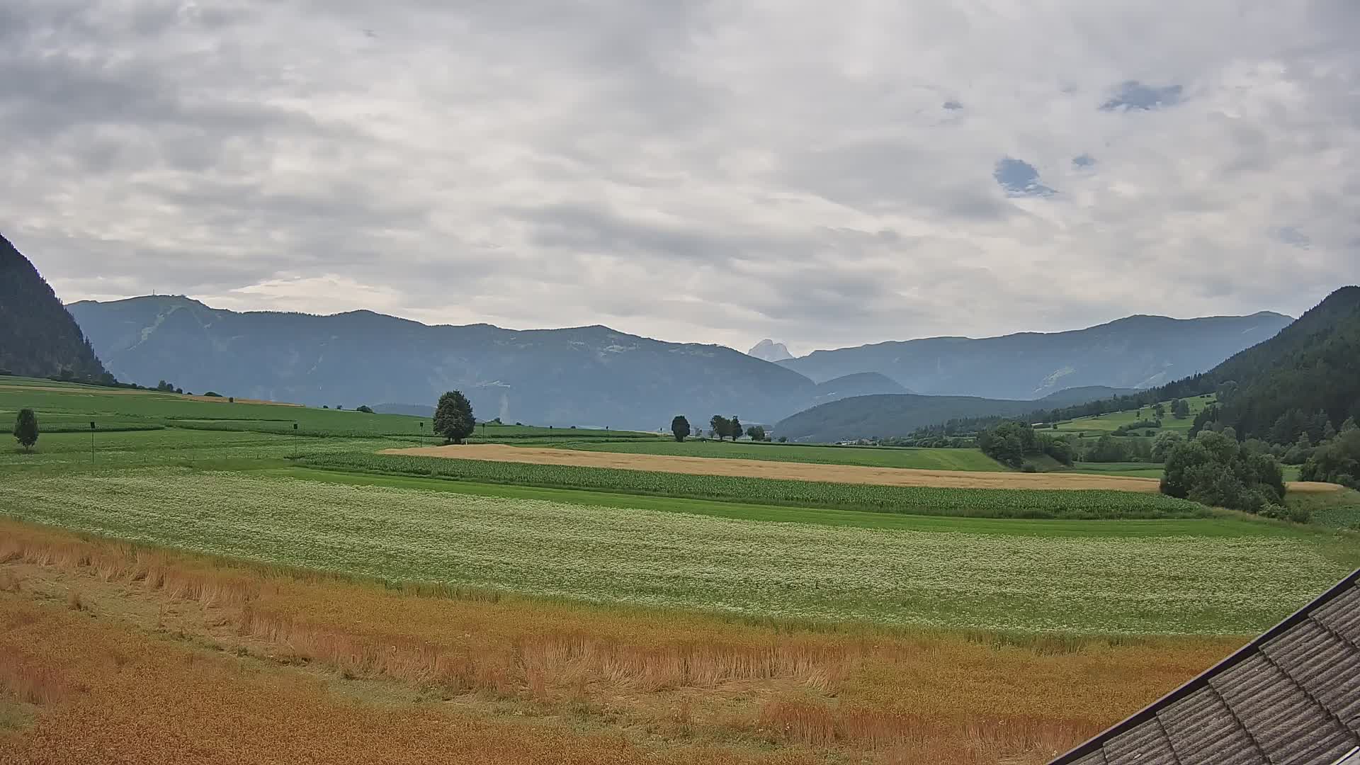 Gais | Blick vom Vintage Farm Winklerhof auf Kronplatz und Dolomiten