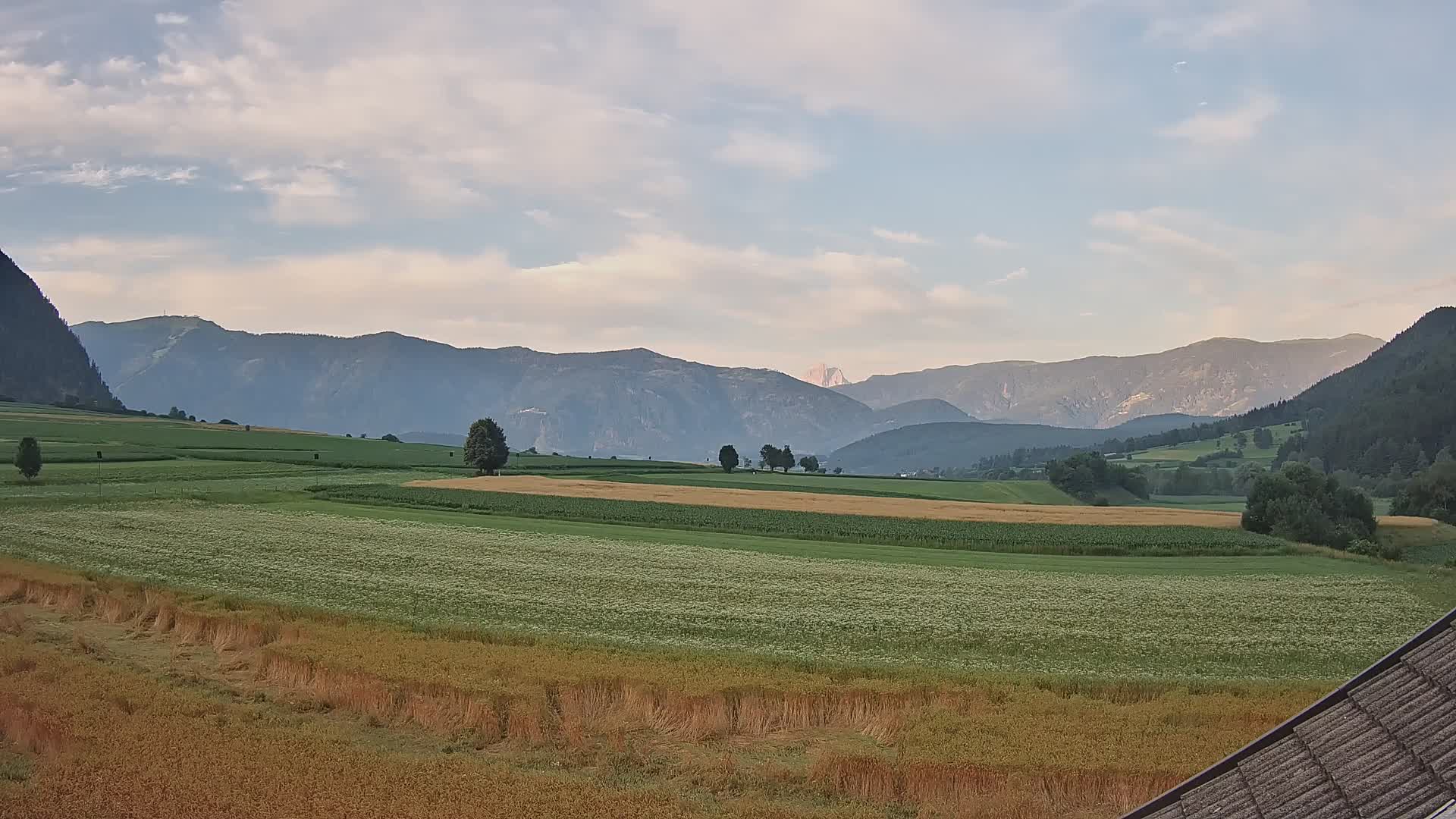 Gais | View from Vintage Farm Winklerhof to Kronplatz and Dolomites