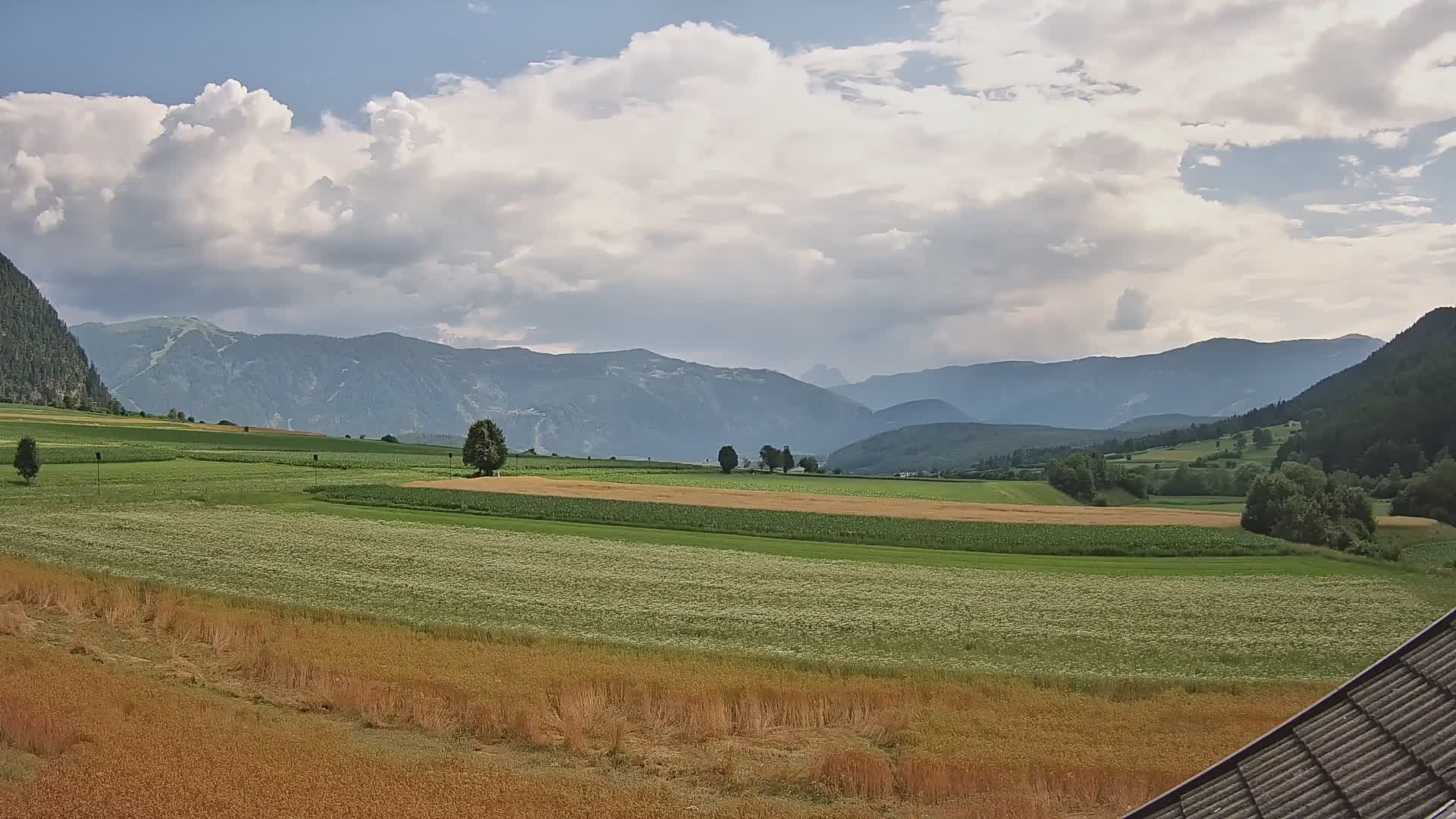 Gais | View from Vintage Farm Winklerhof to Kronplatz and Dolomites